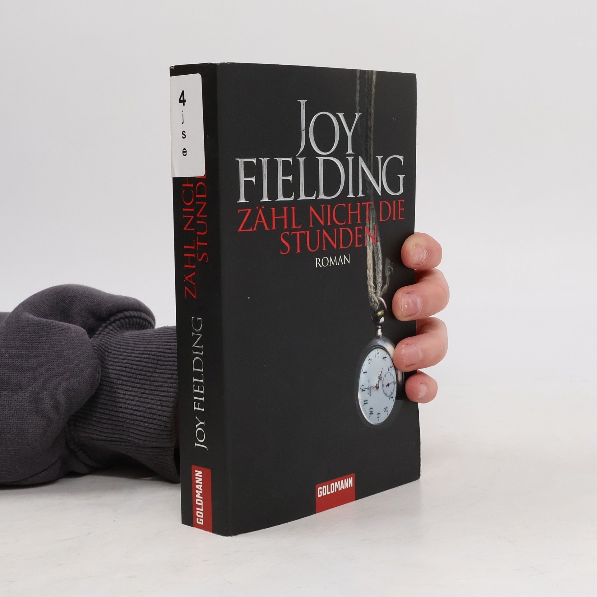 Joy Fielding Zähl nicht die Stunden