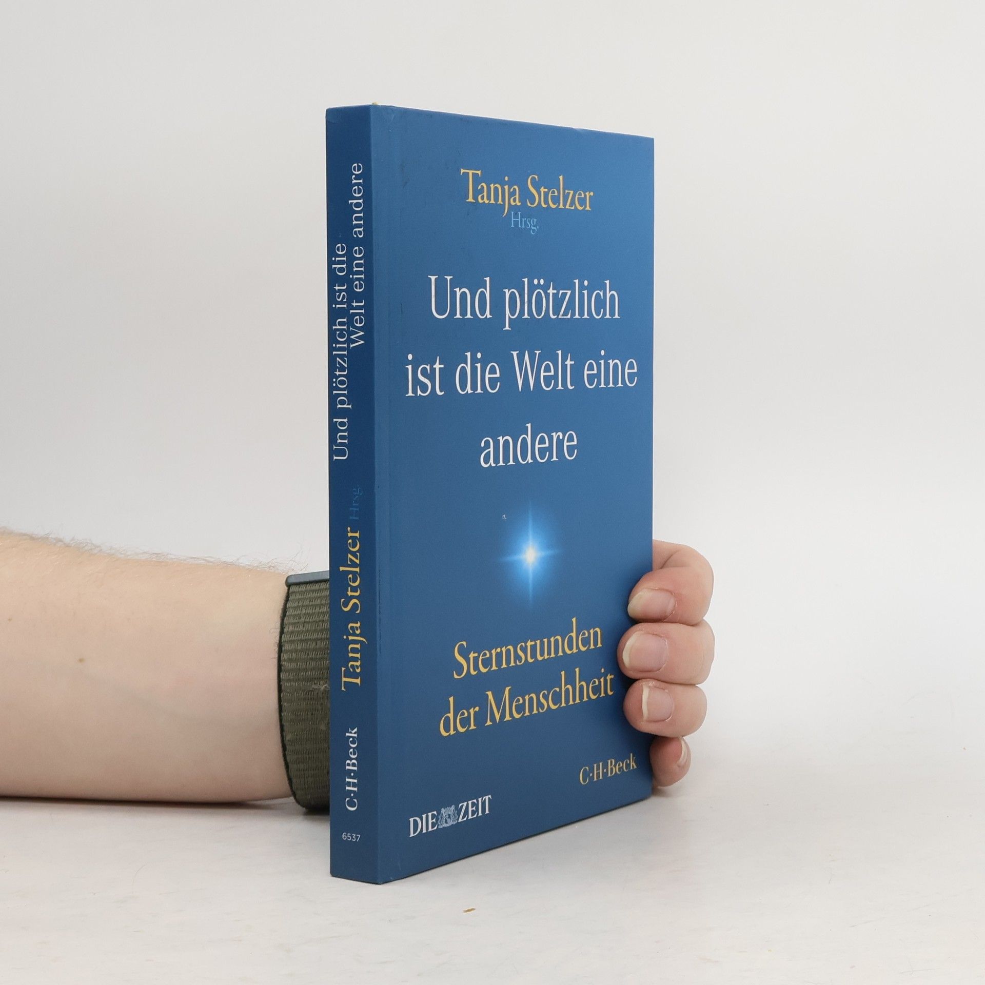 Tanja Stelzer Und plötzlich ist die Welt eine andere