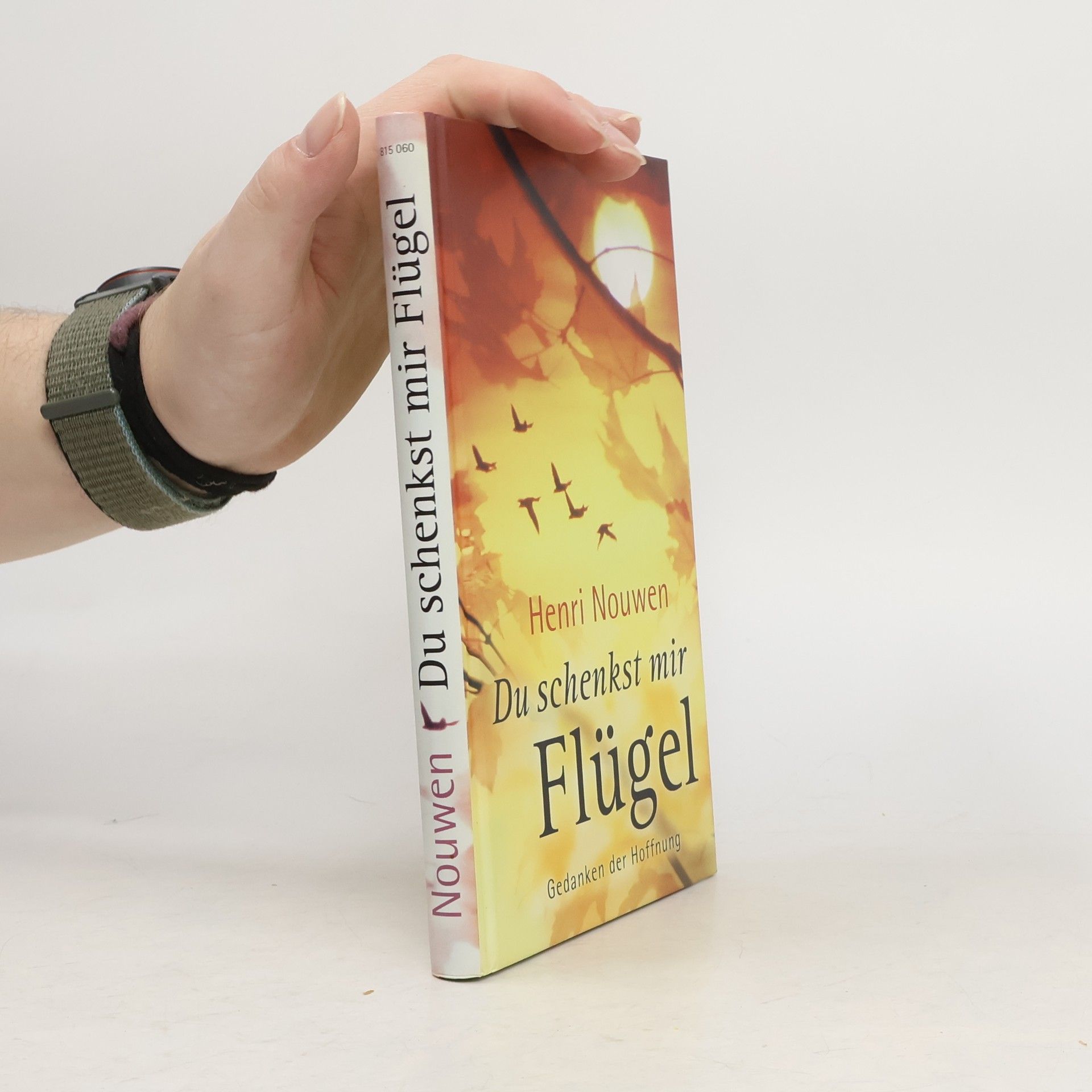 Henri Nouwen Du schenkst mir Flügel