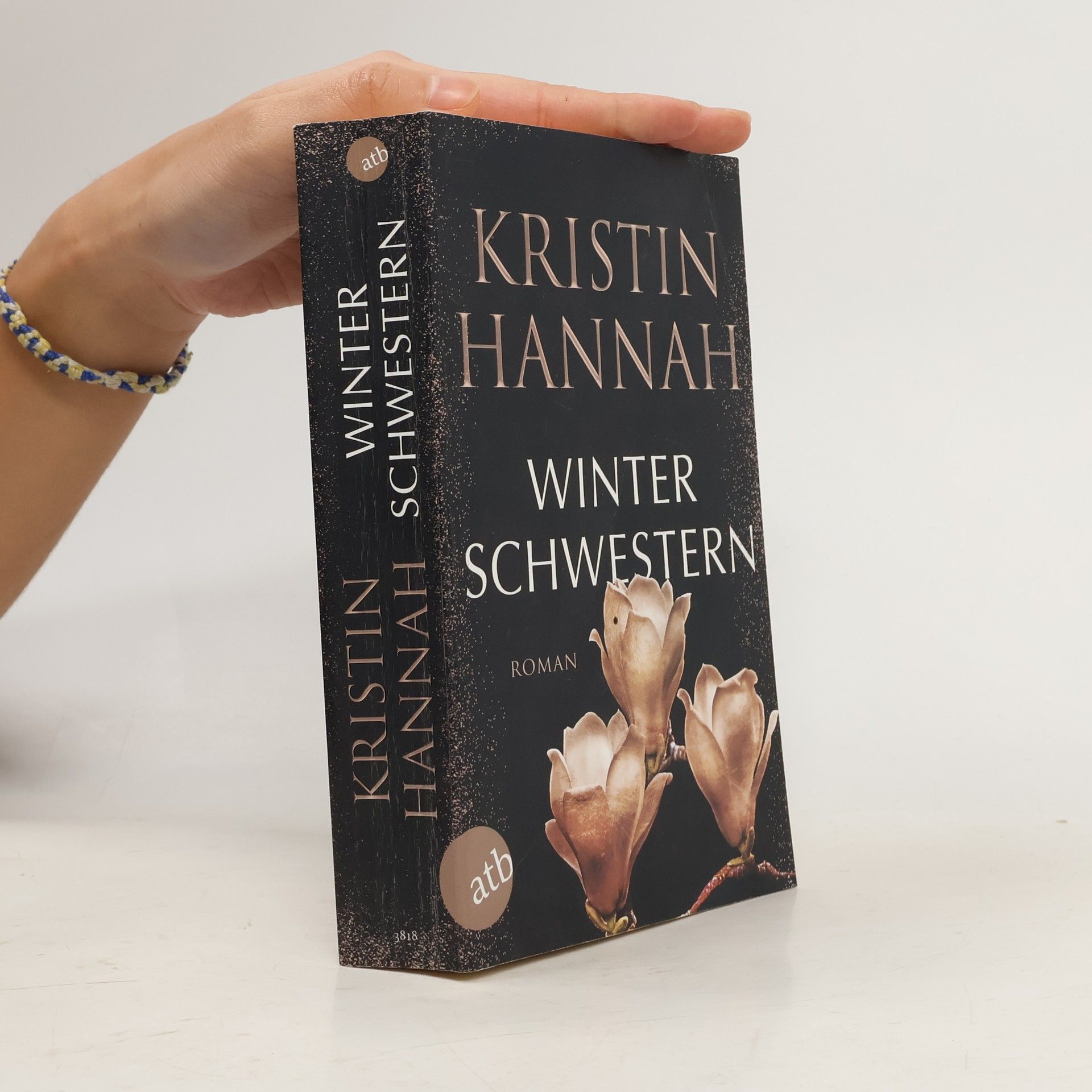Kristin Hannah Winterschwestern