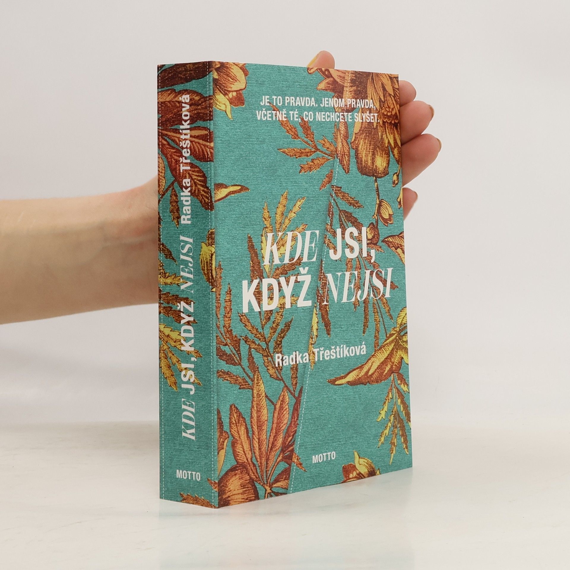 Radka Třeštíková Kde jsi, když nejsi