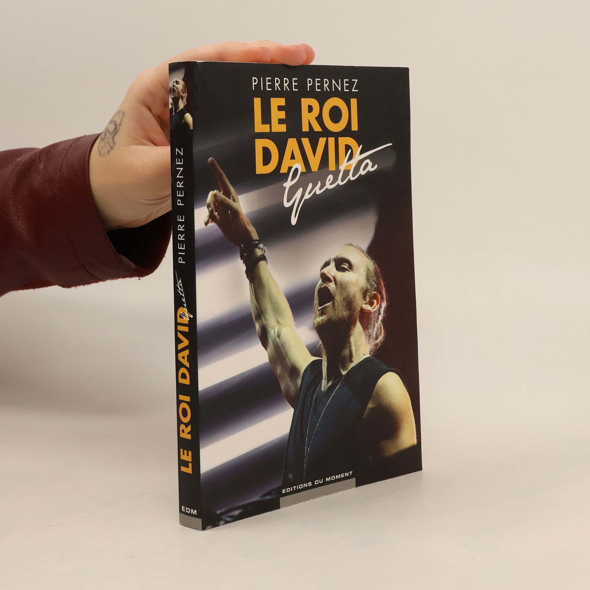 Pierre Pernez Le roi David Guetta