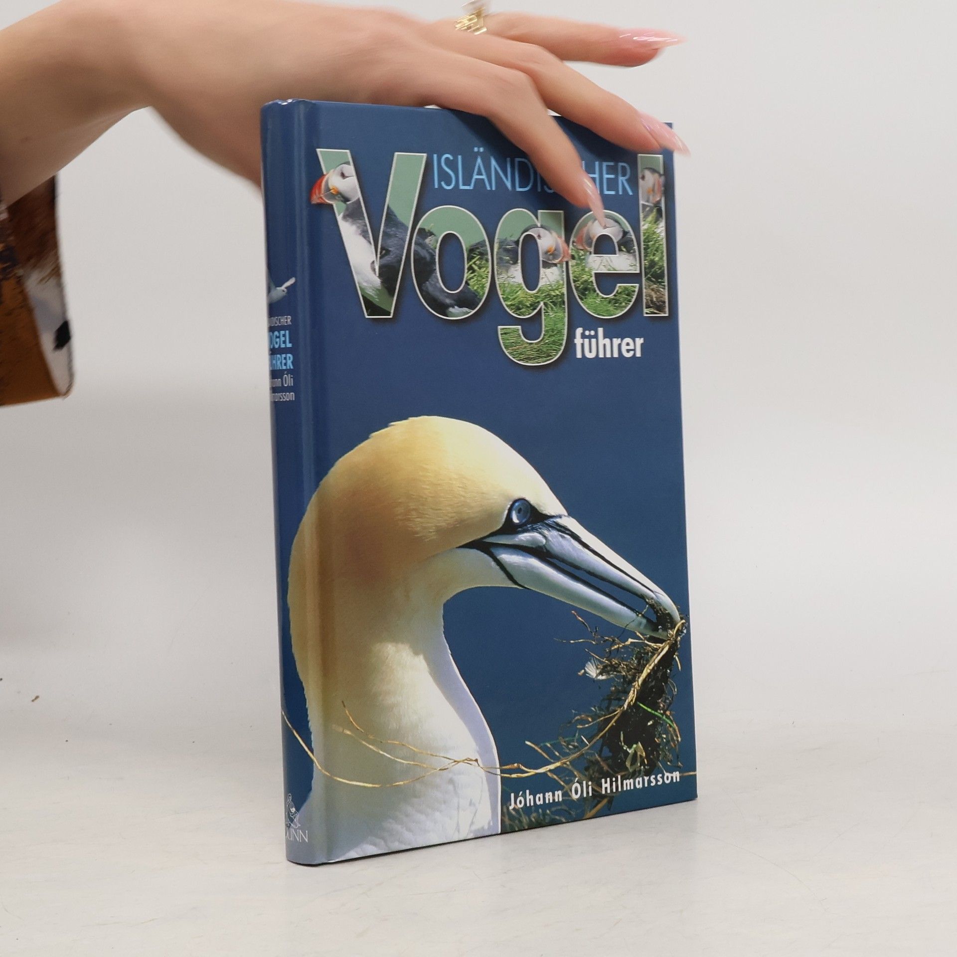 Isländischer Vogelführer