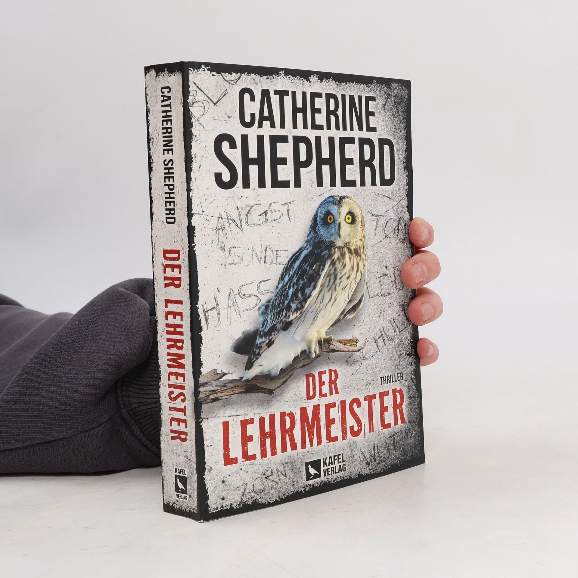 Catherine Shepherd Der Lehrmeister: Thriller