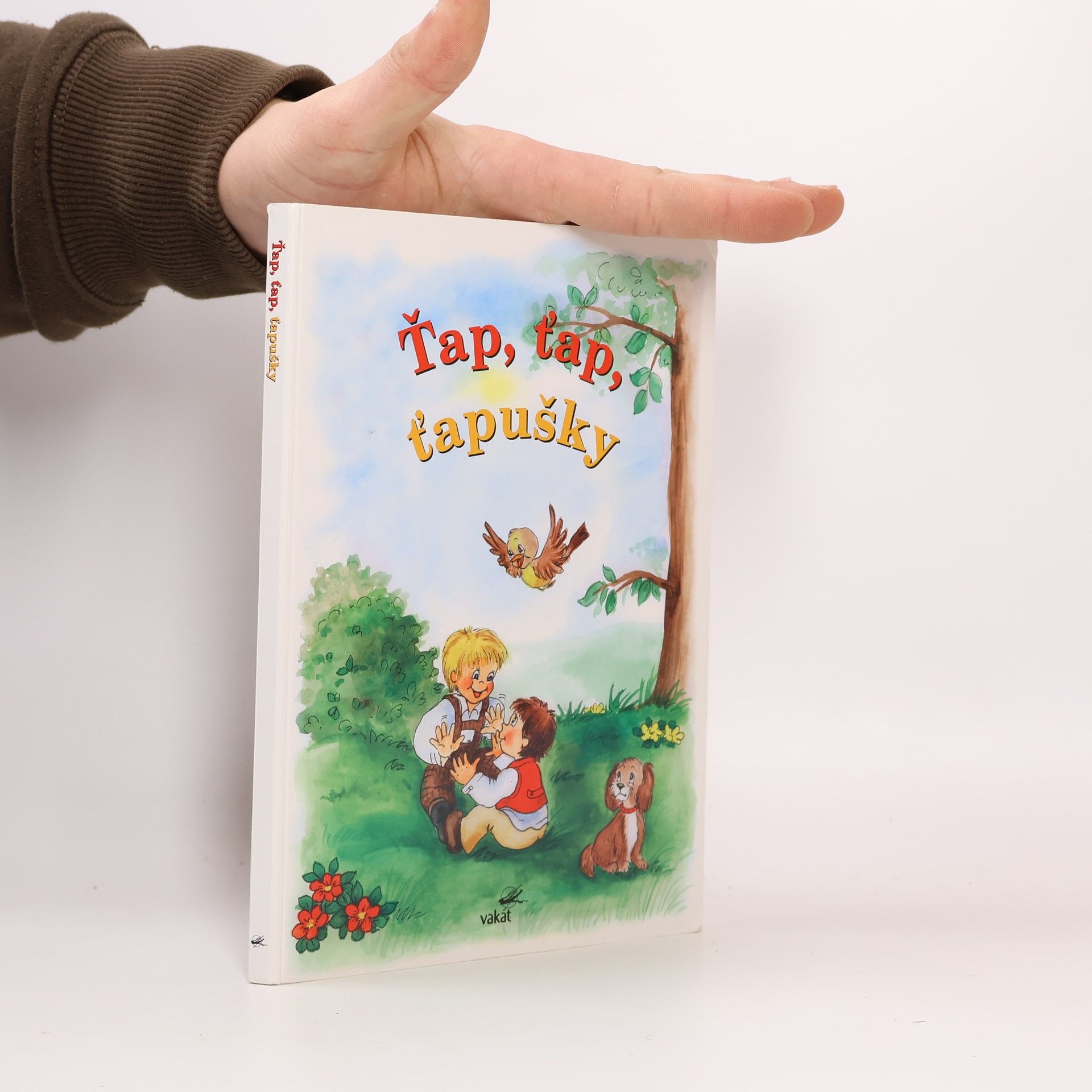 Collectif d'auteurs Ťap, ťap, ťapušky