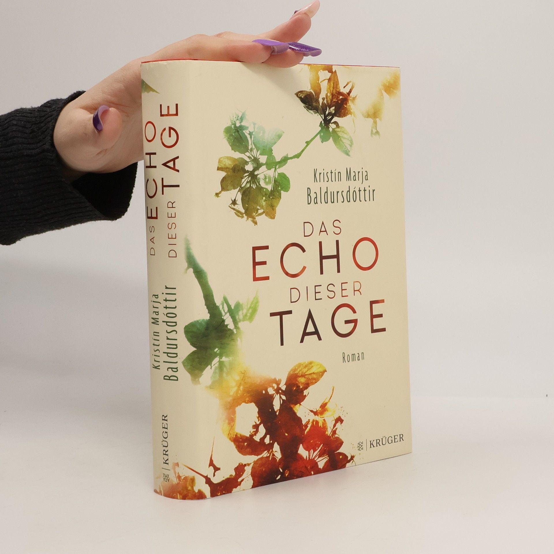 Kristín Marja Baldursdóttir Das Echo dieser Tage