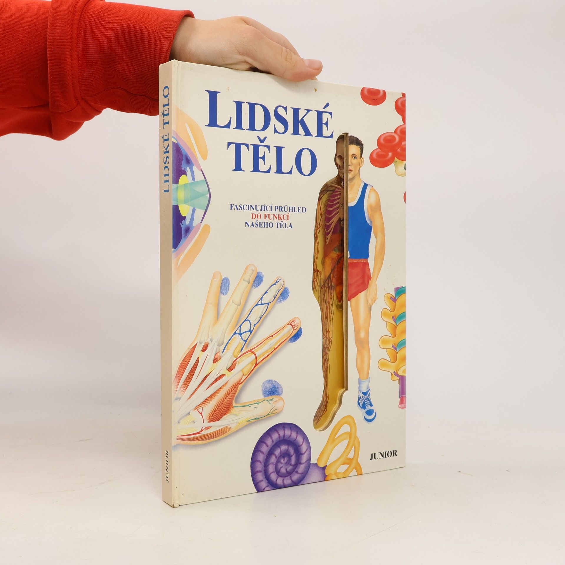 Ivo Pospíšil Lidské tělo : fascinující průhled do funkcí našeho těla