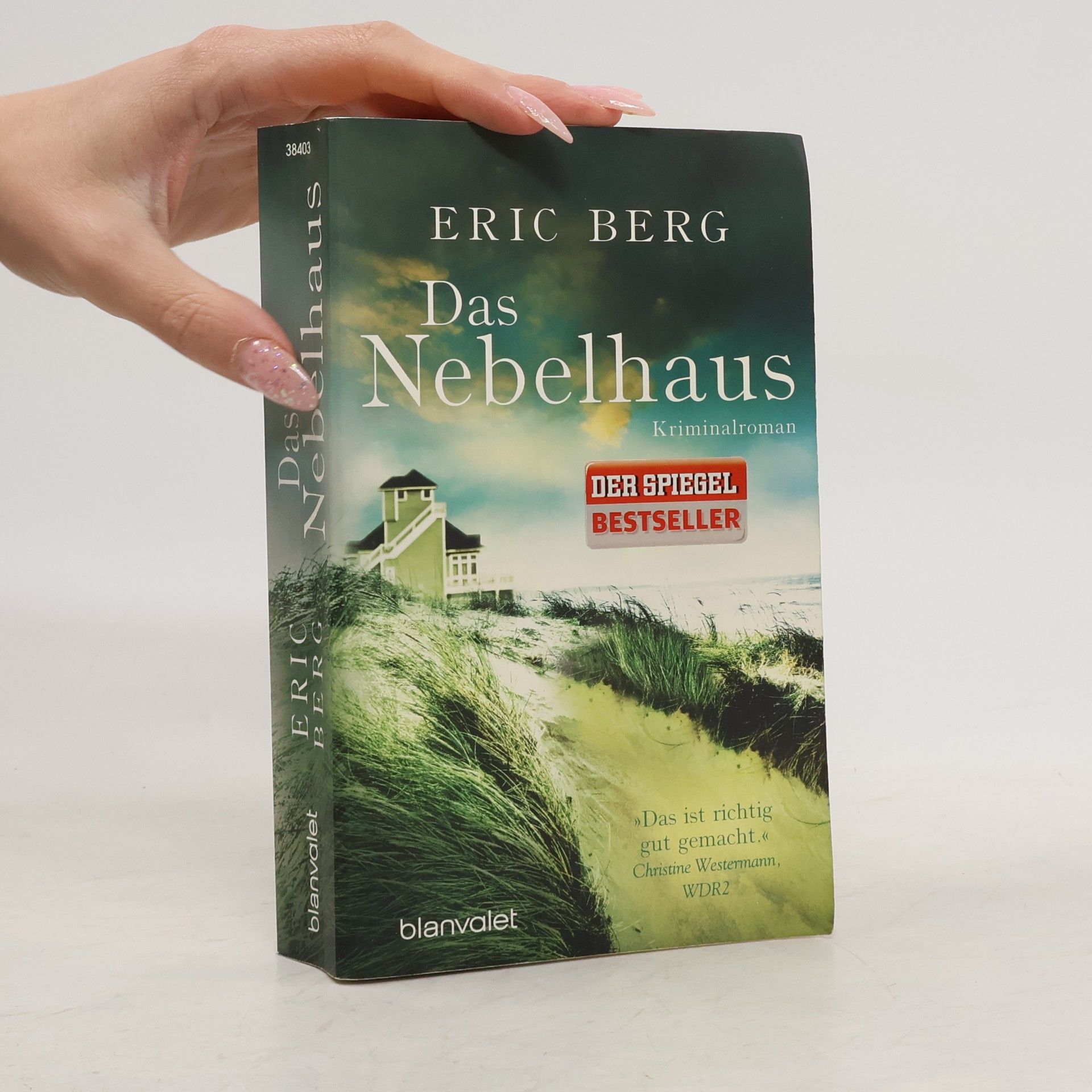 Eric Berg Das Nebelhaus
