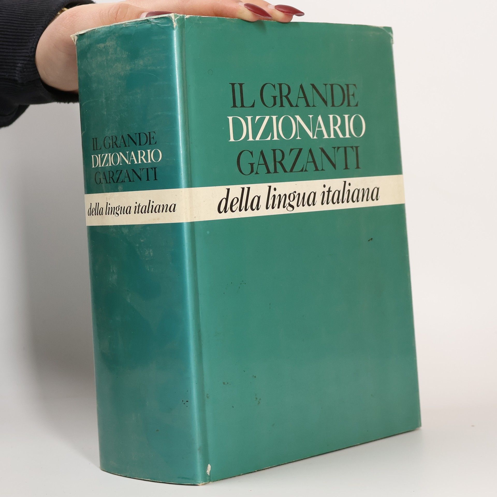 Lucio Felici Il Grande dizionario Garzanti della lingua italiana