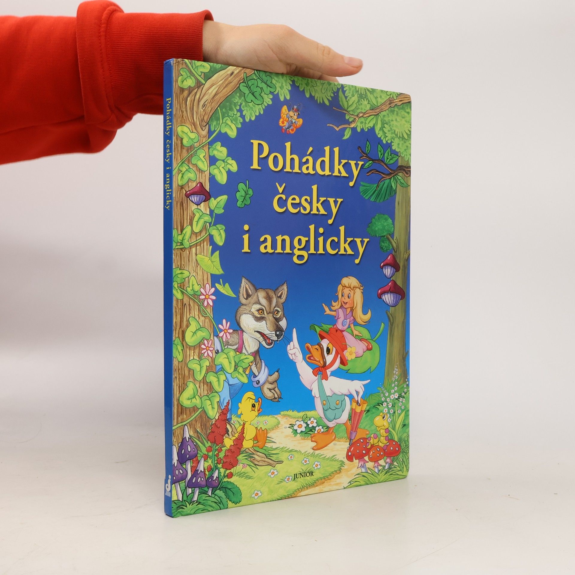 Dorota Fic Pohádky česky i anglicky