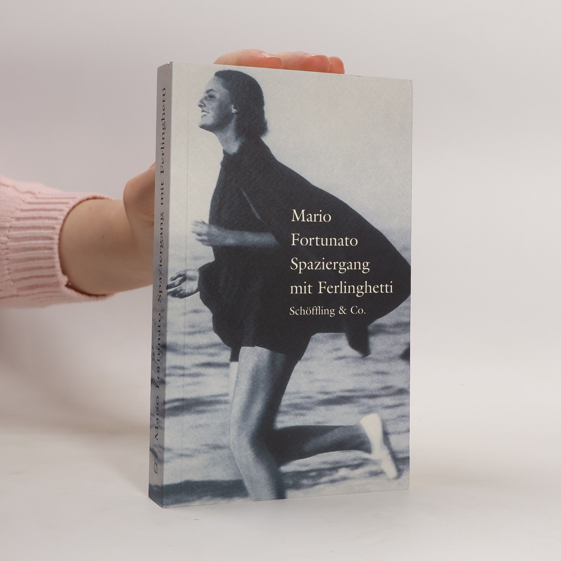 Mario Fortunato Spaziergang mit Ferlinghetti