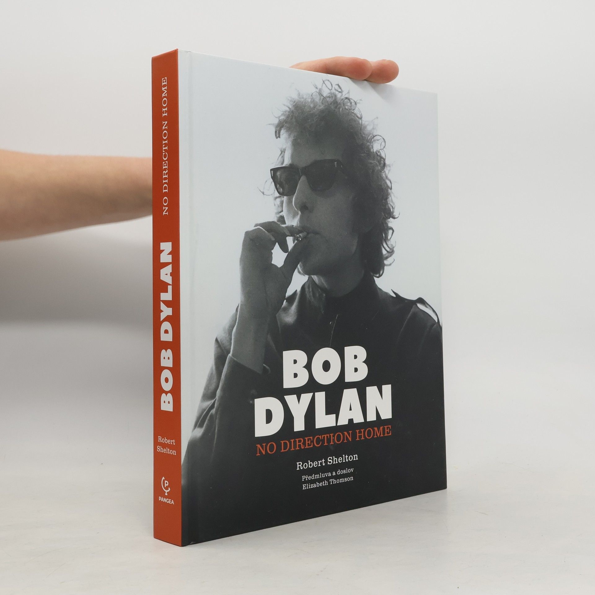 Robert Shelton Bob Dylan: No Direction Home