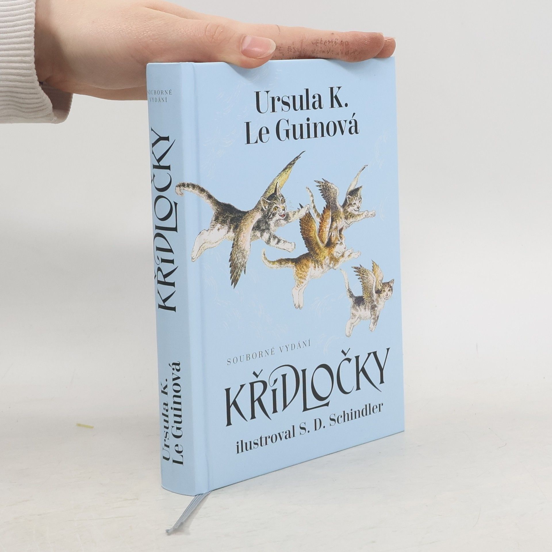 Jakub Němeček Křídločky