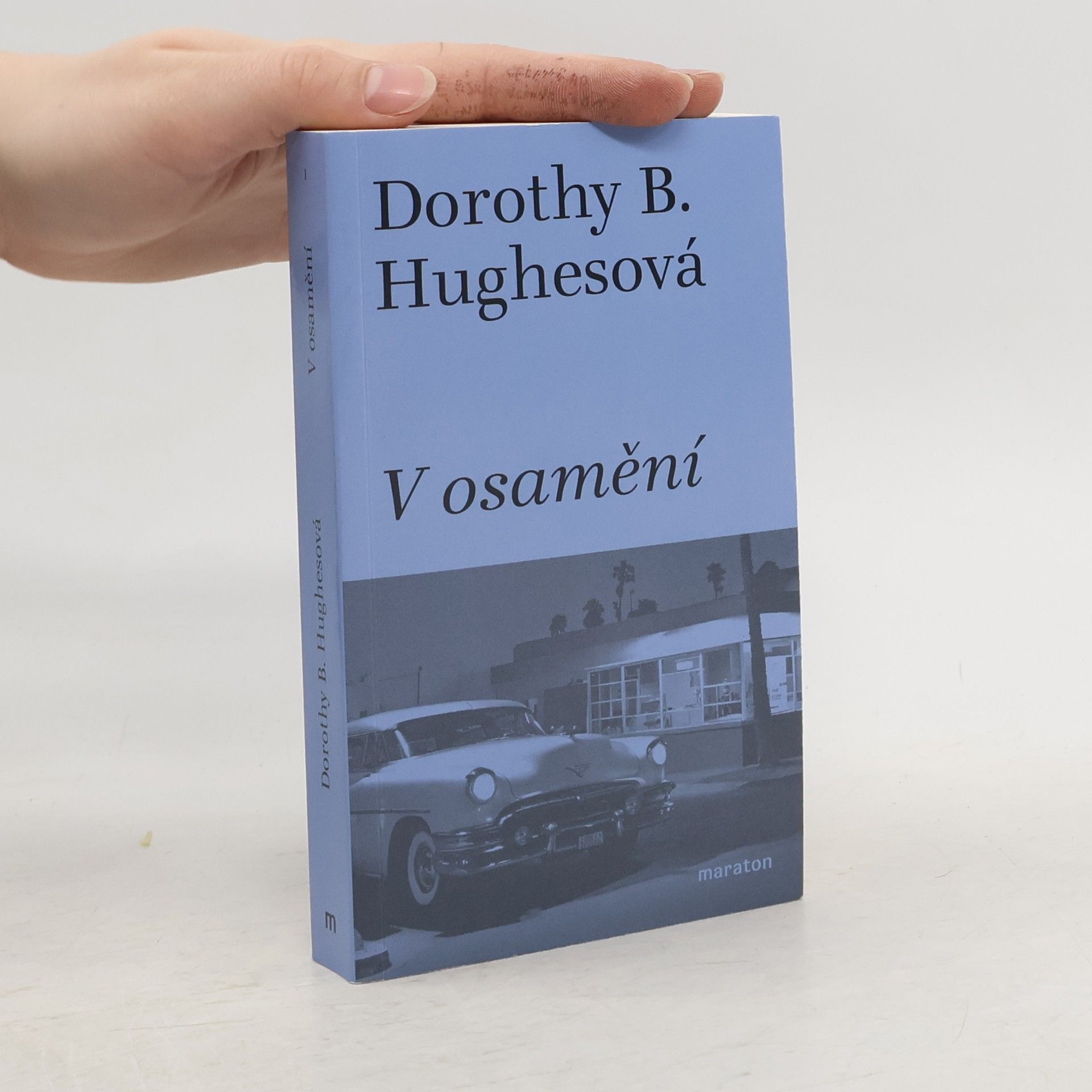 Martin Pokorný V osamění