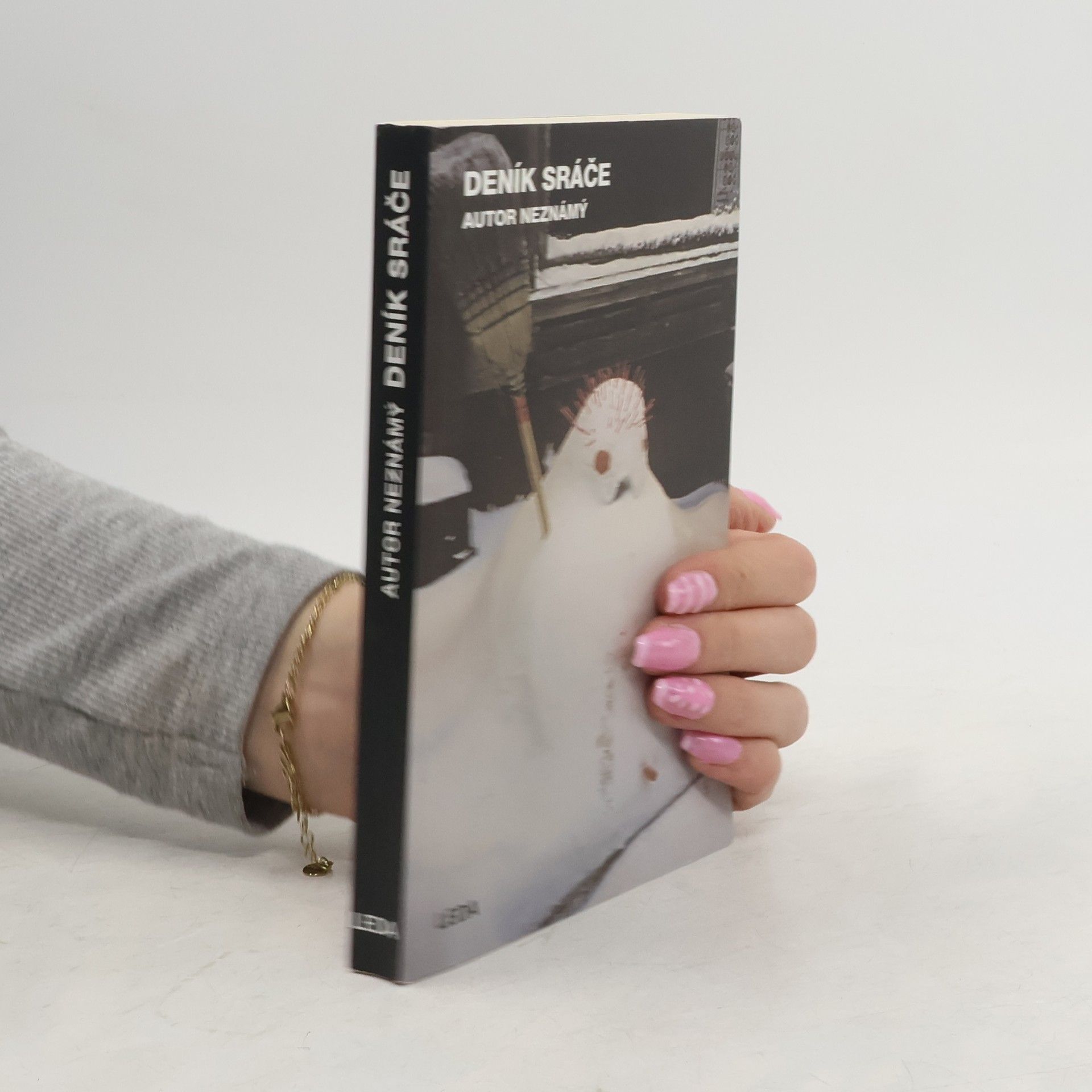 Kolektiv autorů Deník sráče