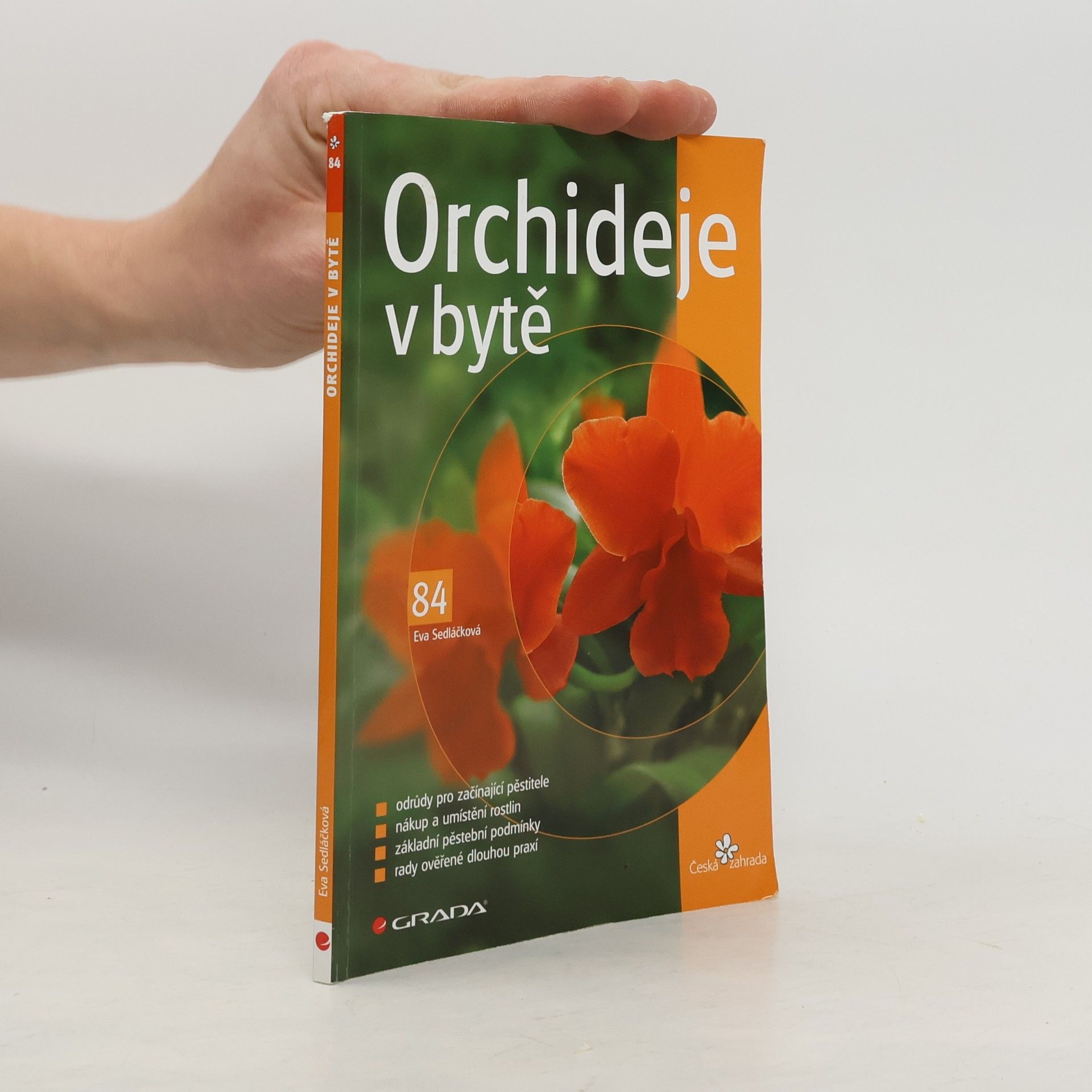 Eva Sedláčková Orchideje v bytě