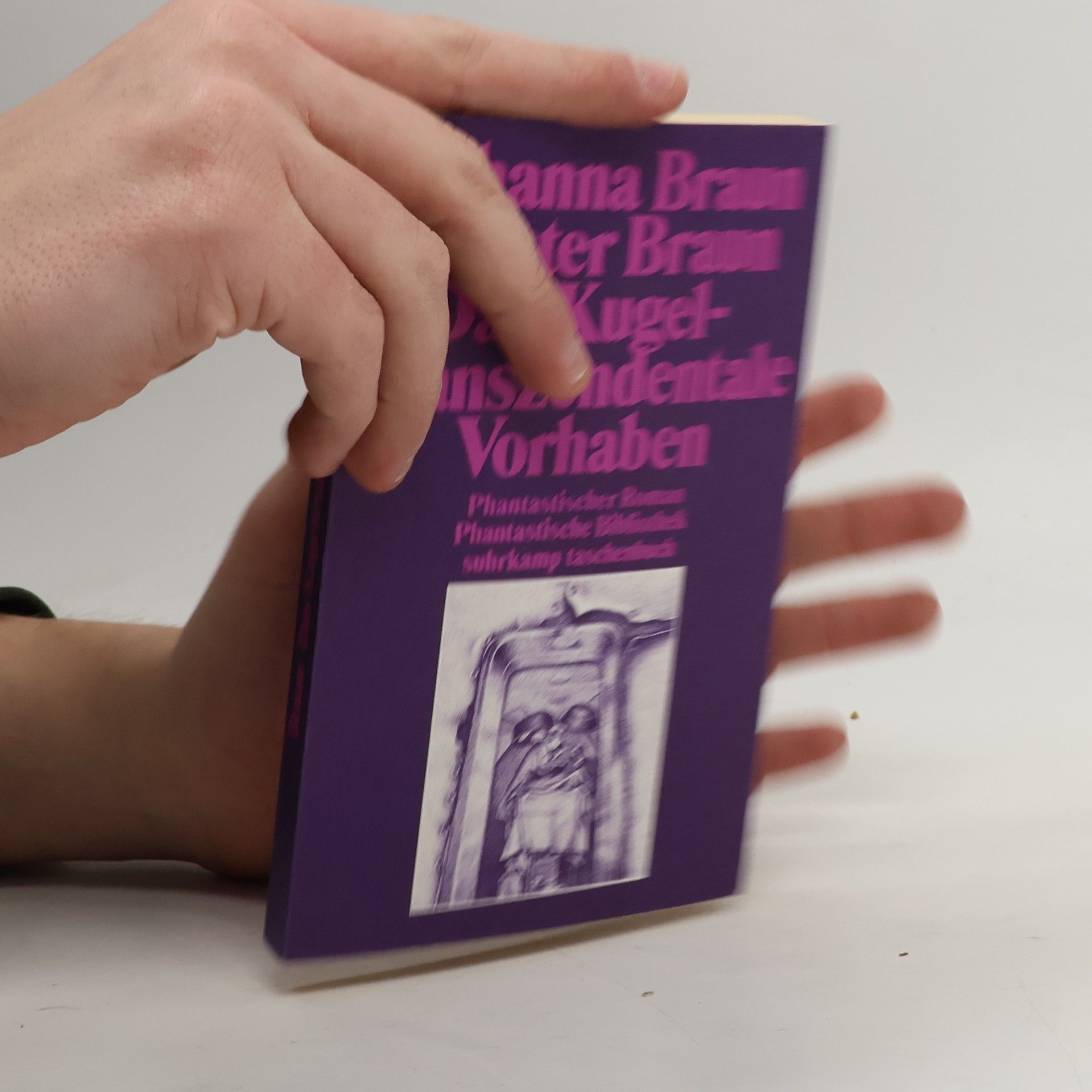 Das kugeltranszendentale Vorhaben