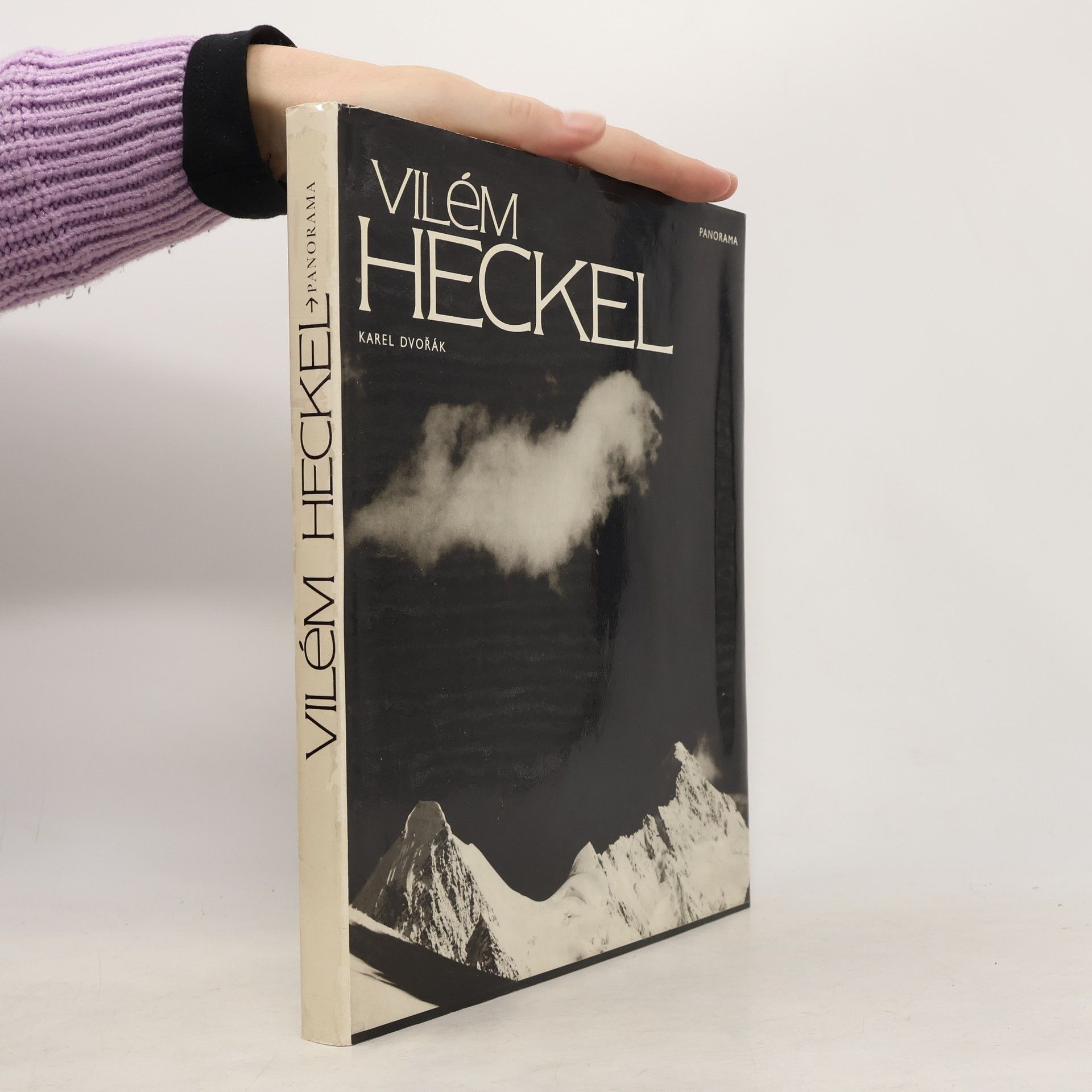 Vilém Heckel Vilém Heckel