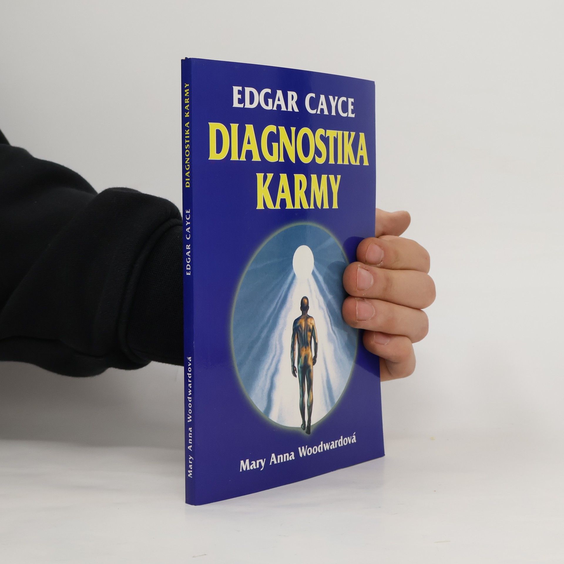 Diagnostika karmy : diagnostika a léčení karmických příčin nemocí