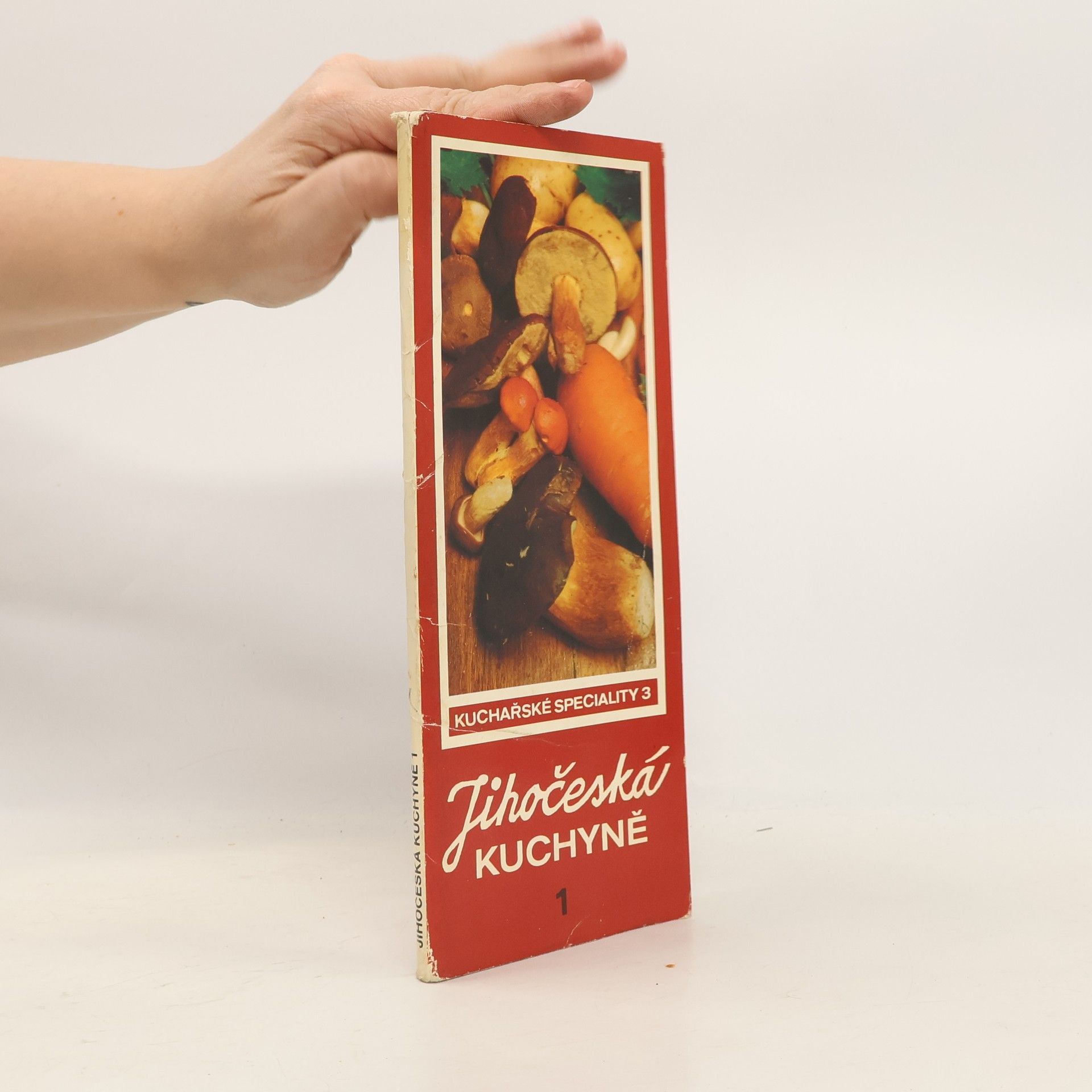 Kristina Kopáčková Jihočeská kuchyně 1