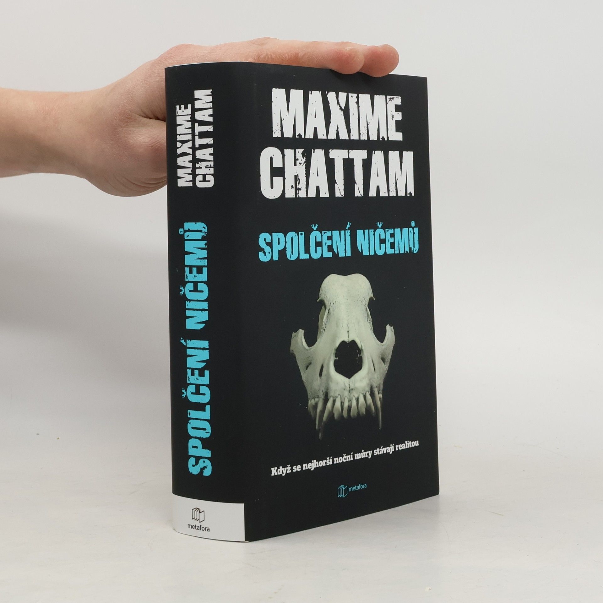 Maxime Chattam Spolčení ničemů