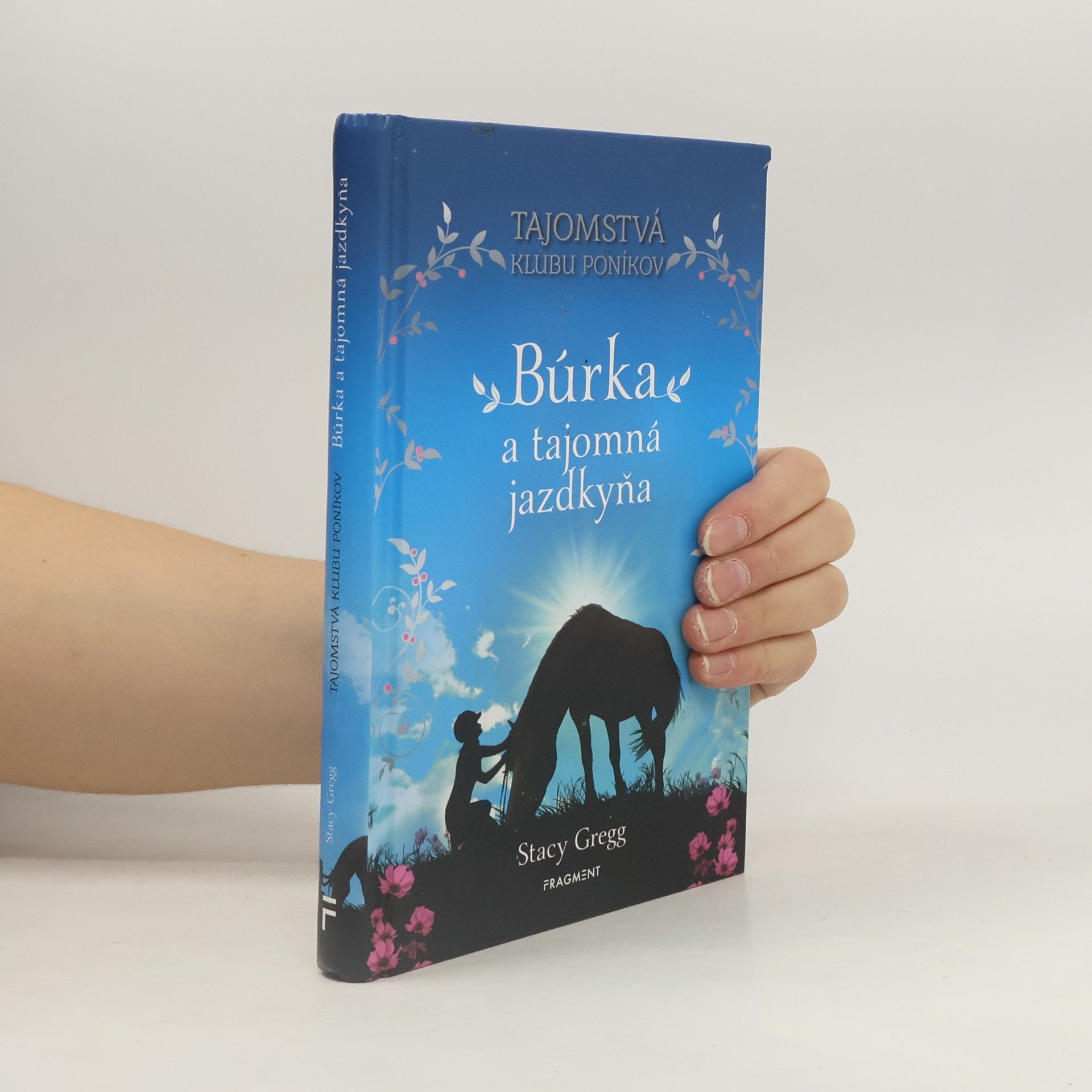 Stacy Gregg Búrka a tajomná jazdkyňa