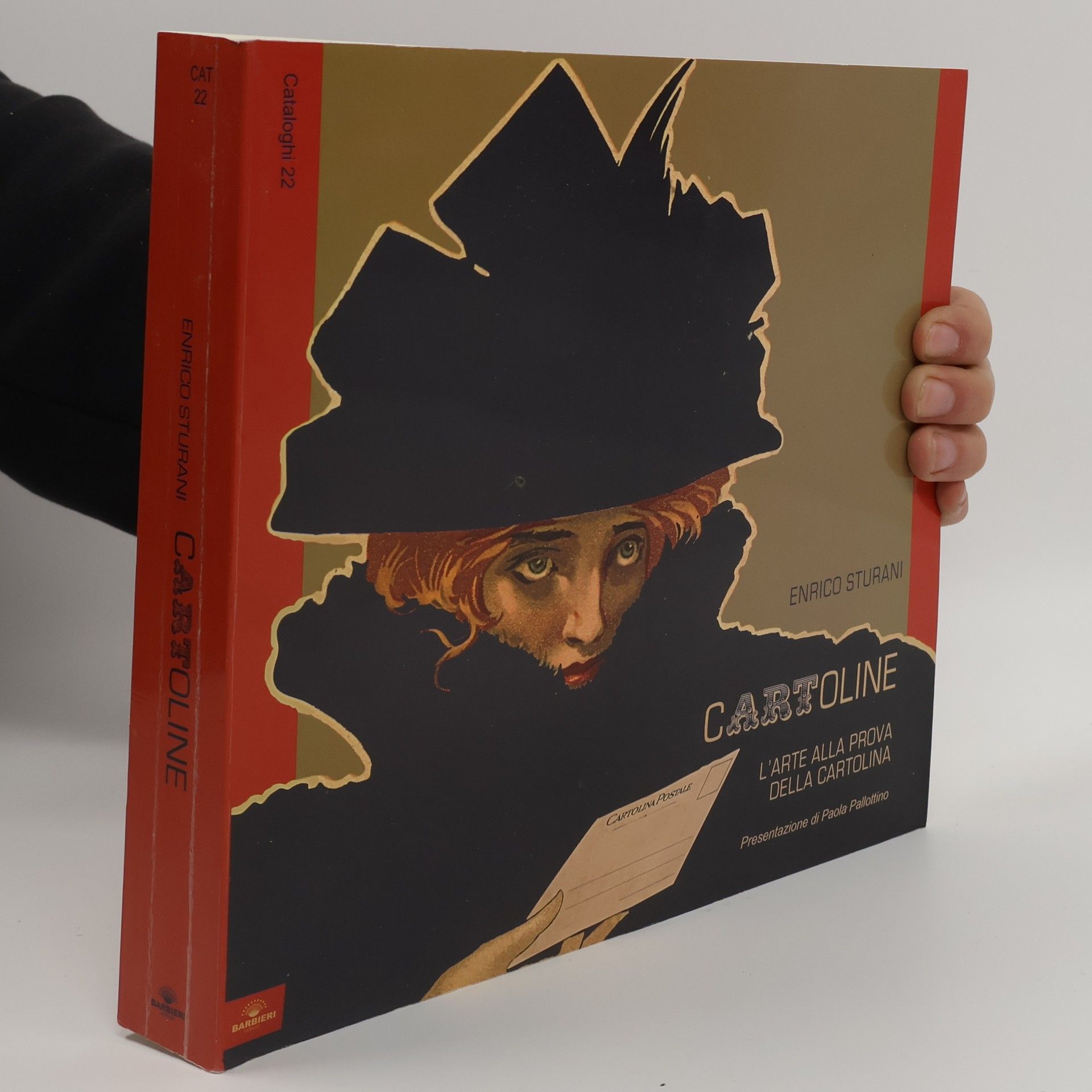 Enrico Sturani Cartoline. L'arte alla prova della cartolina. Ediz. illustrata