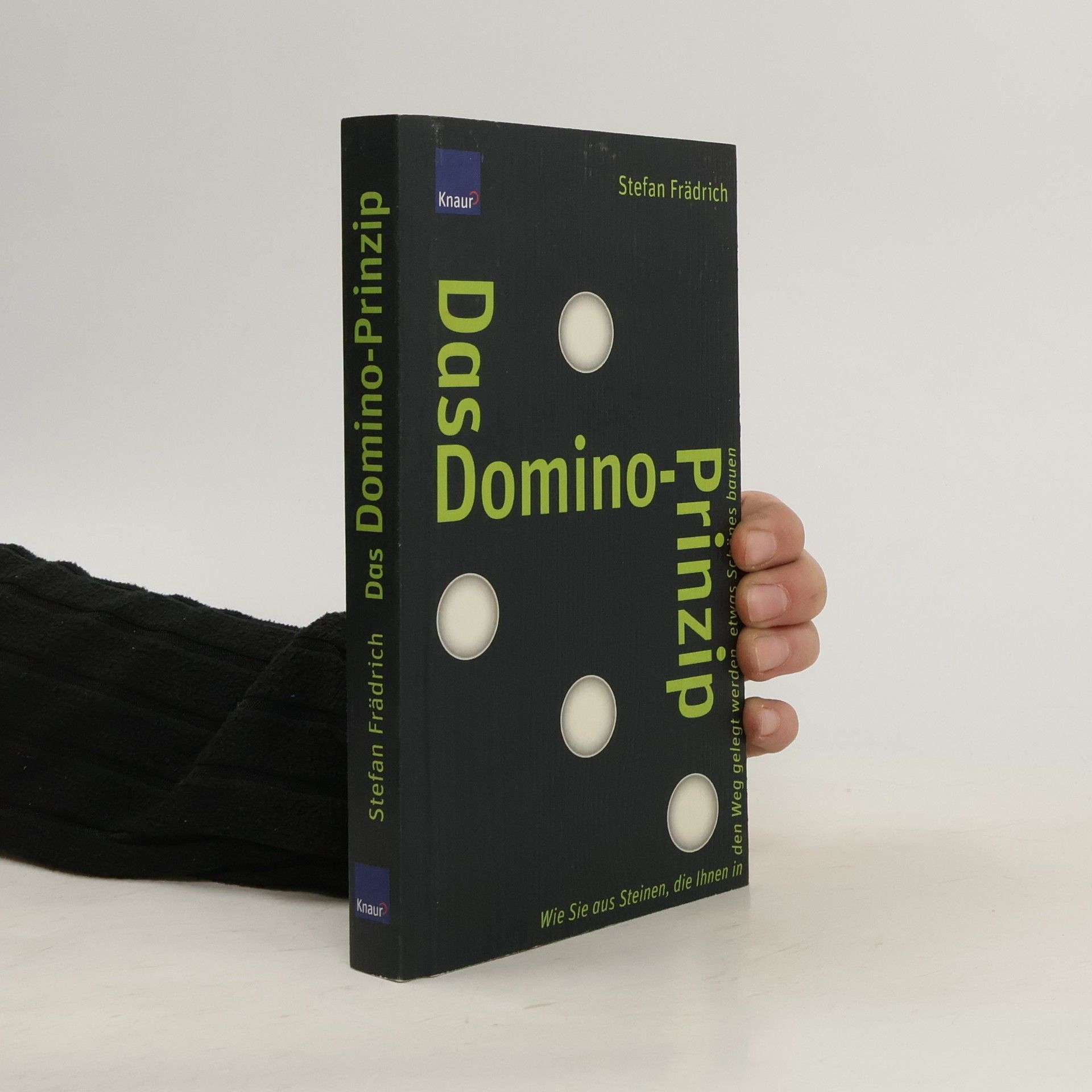 Stefan Frädrich Das Domino-Prinzip
