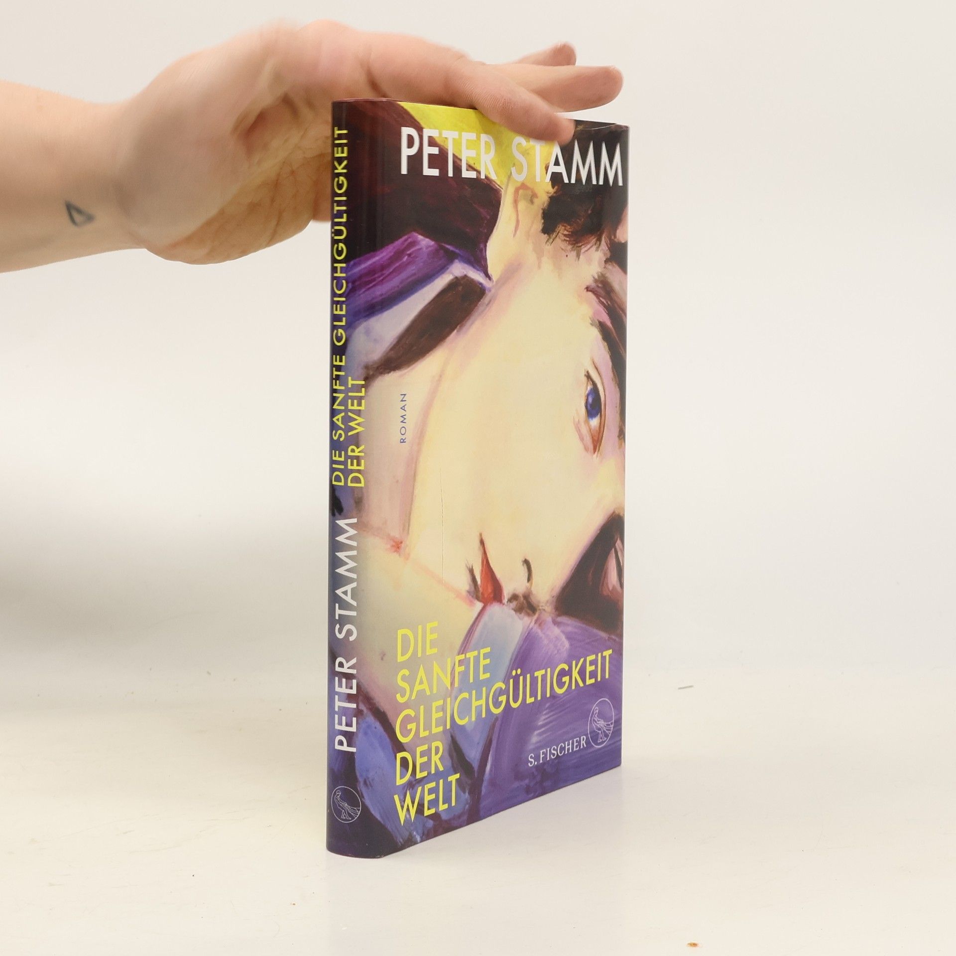 Peter Stamm Die sanfte Gleichgültigkeit der Welt