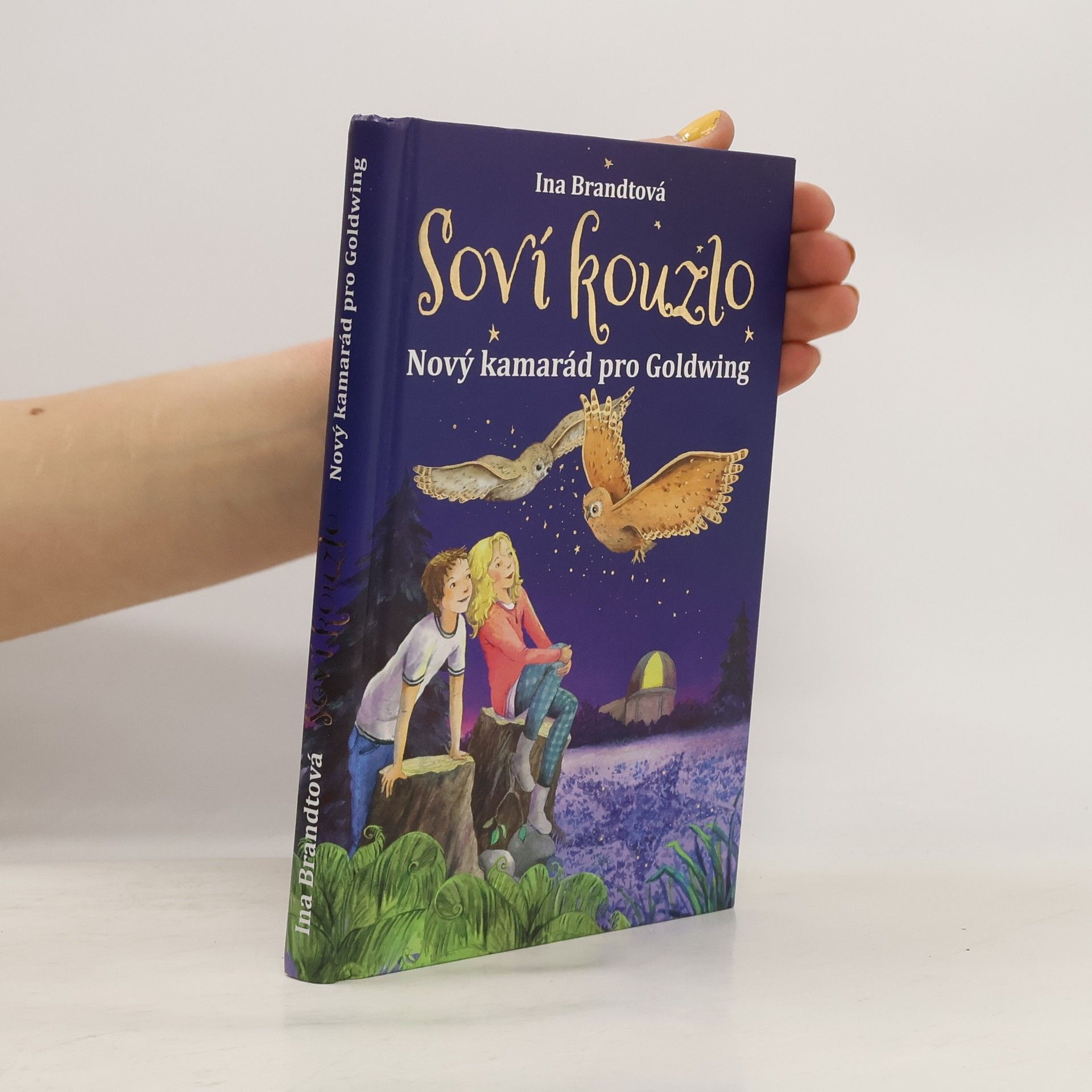 Soví kouzlo. Nový kamarád pro Goldwing