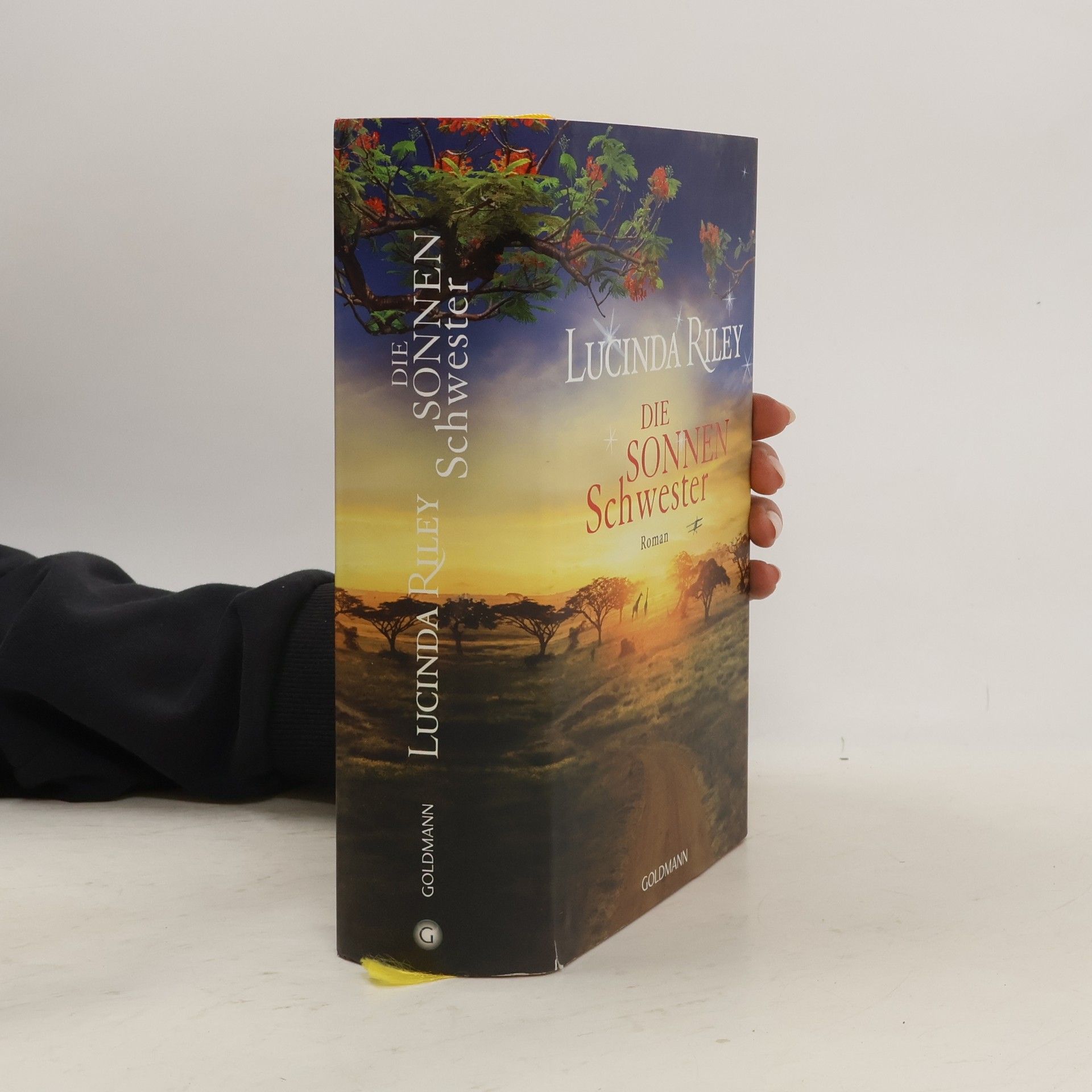 Lucinda Riley Die Sonnenschwester