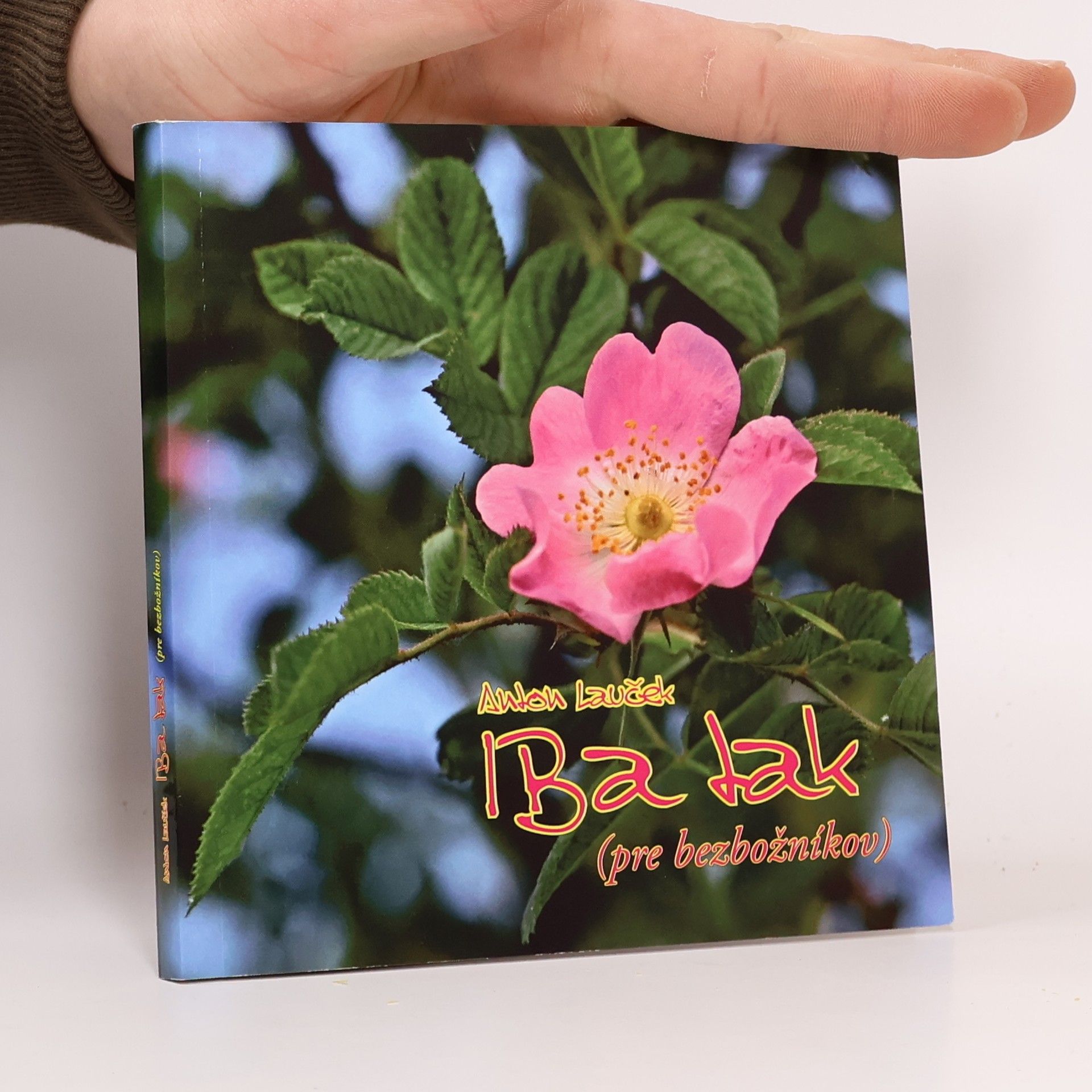 Anton Lauček Iba tak (pre bezbožníkov)