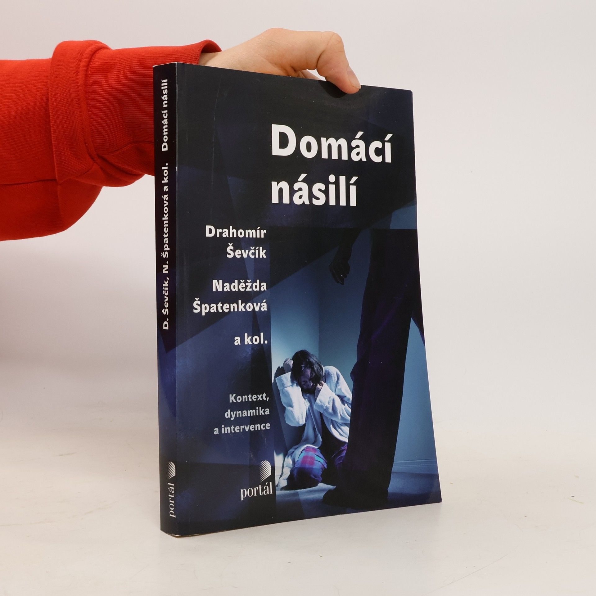 Drahomír Ševčík Domácí násilí : kontext, dynamika a intervence