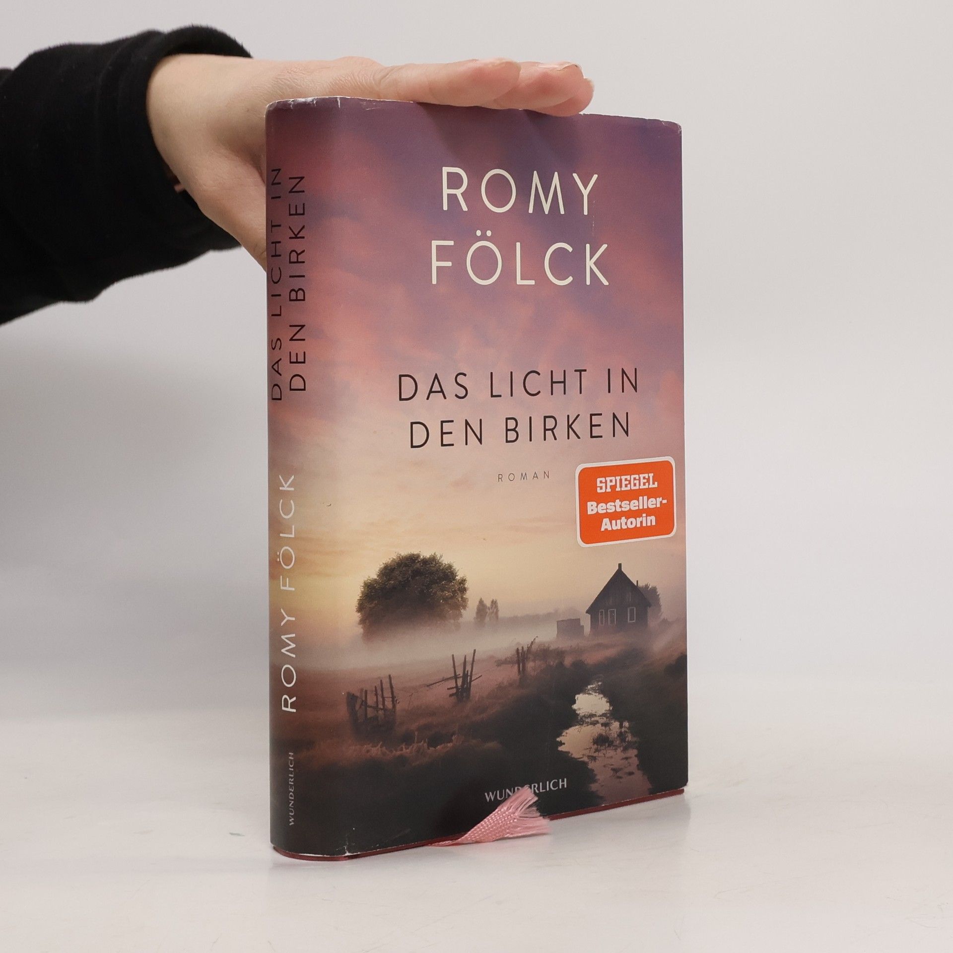 Romy Fölck Das Licht in den Birken