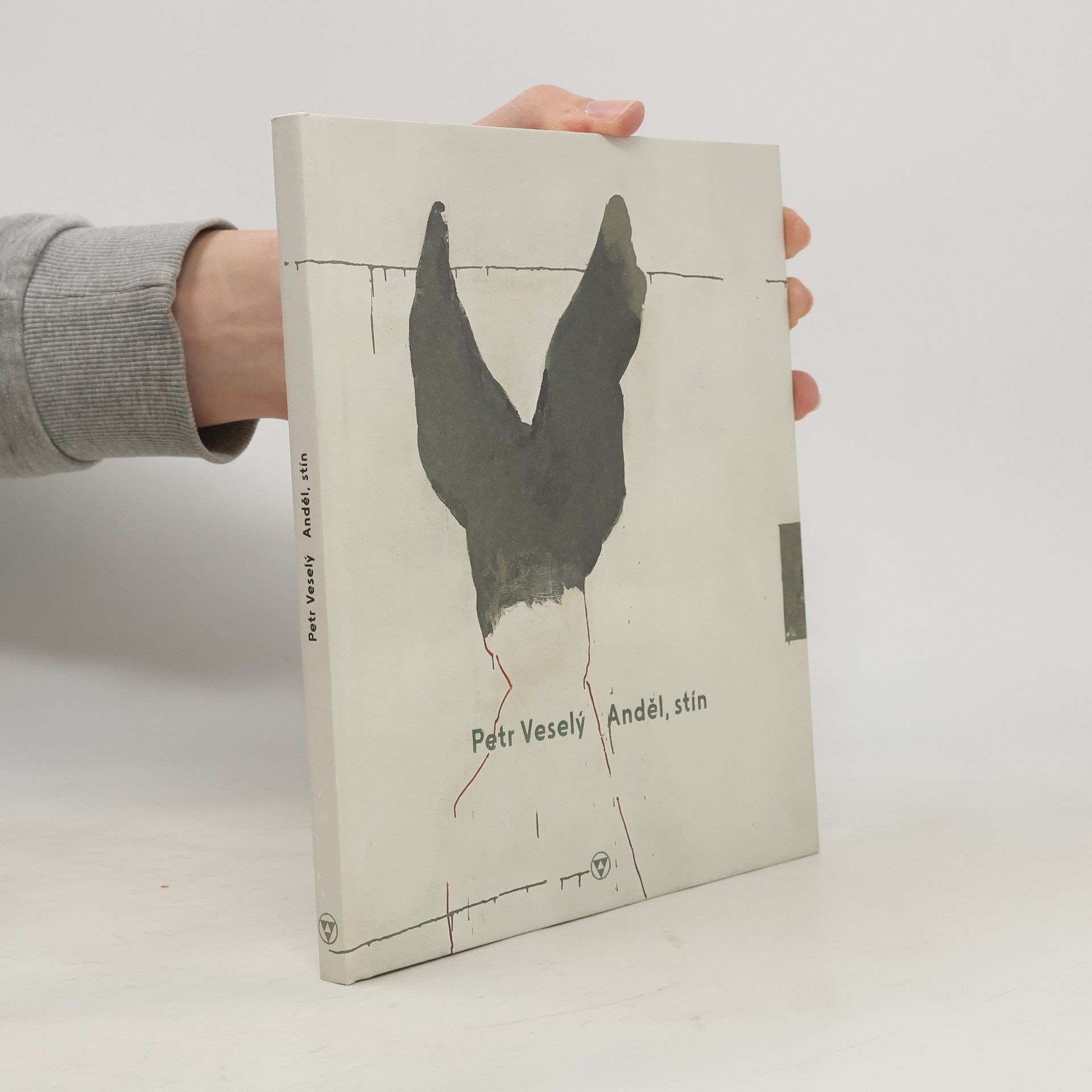 Petr Veselý Anděl, stín