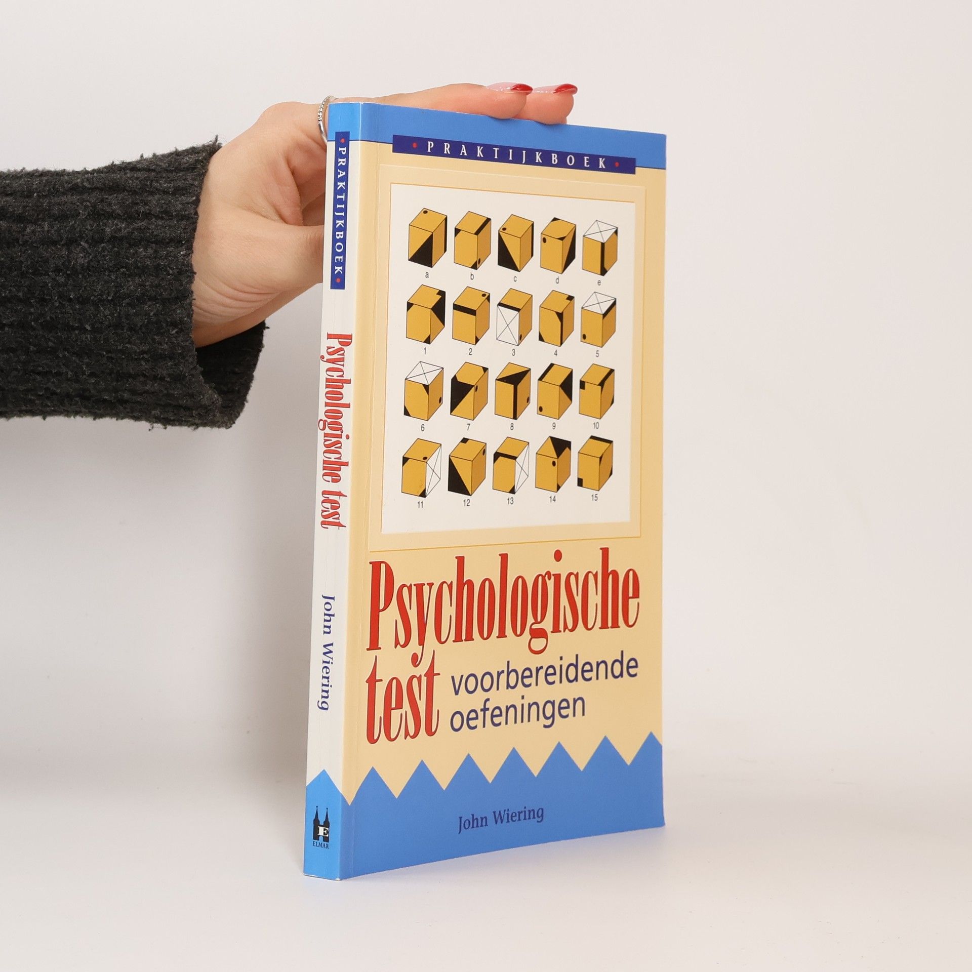 John Wiering Praktijkboek psychologische test