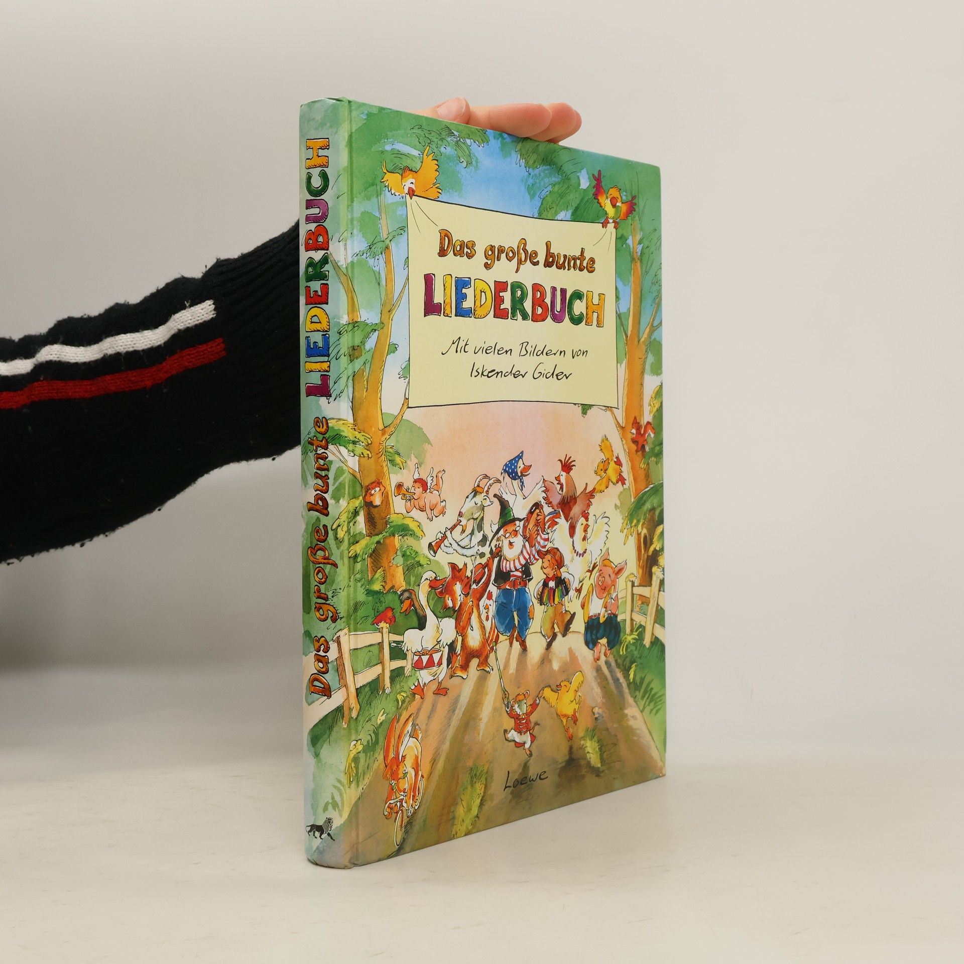 Collectif d'auteurs Das grosse bunte Liederbuch