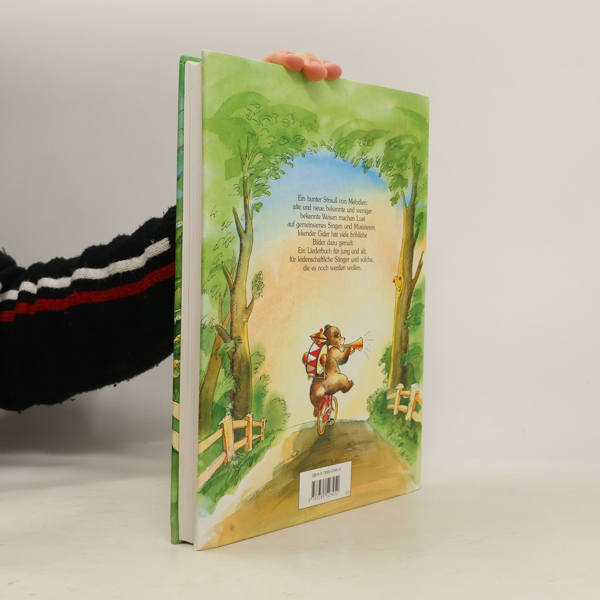 Various authors Das grosse bunte Liederbuch
