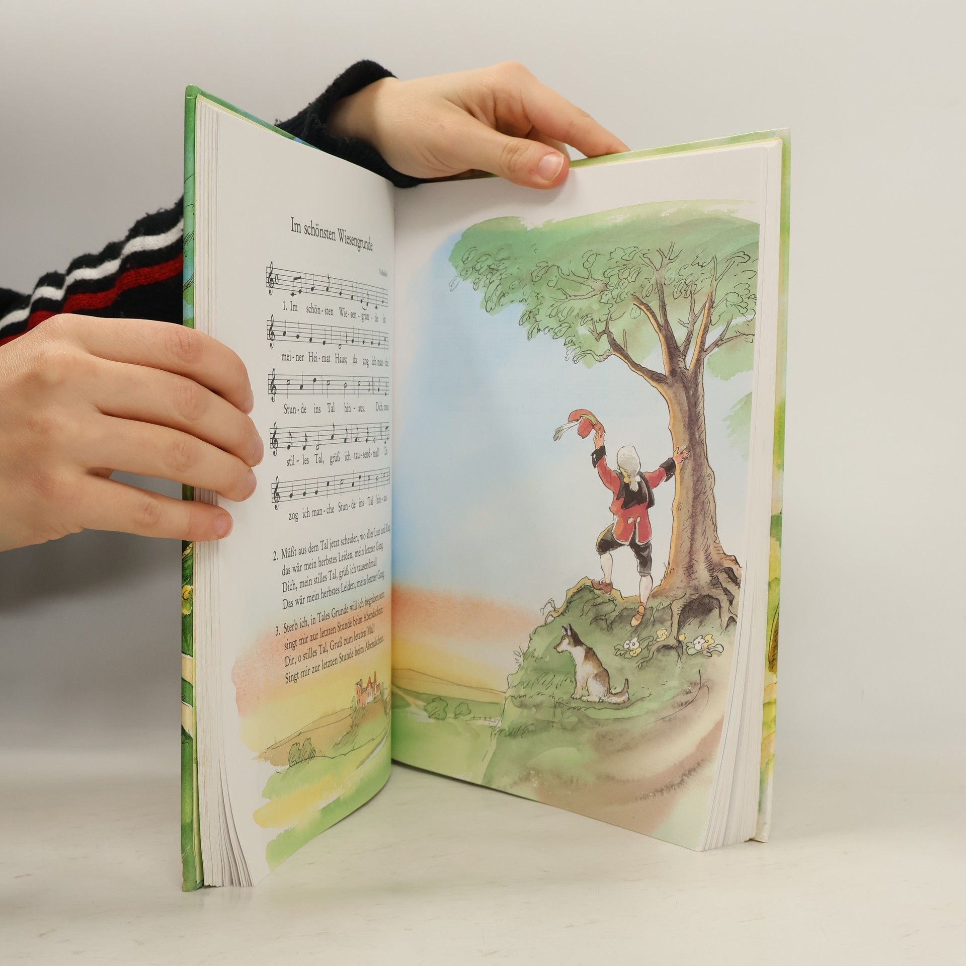 Various authors Das grosse bunte Liederbuch