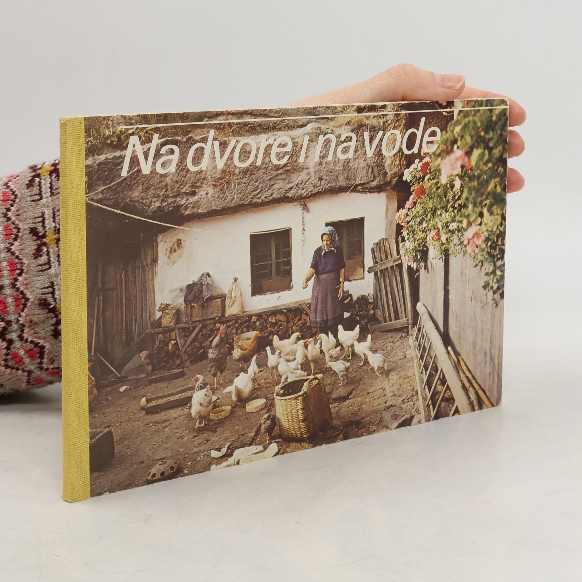 Julius Kontár Na dvore i na vode