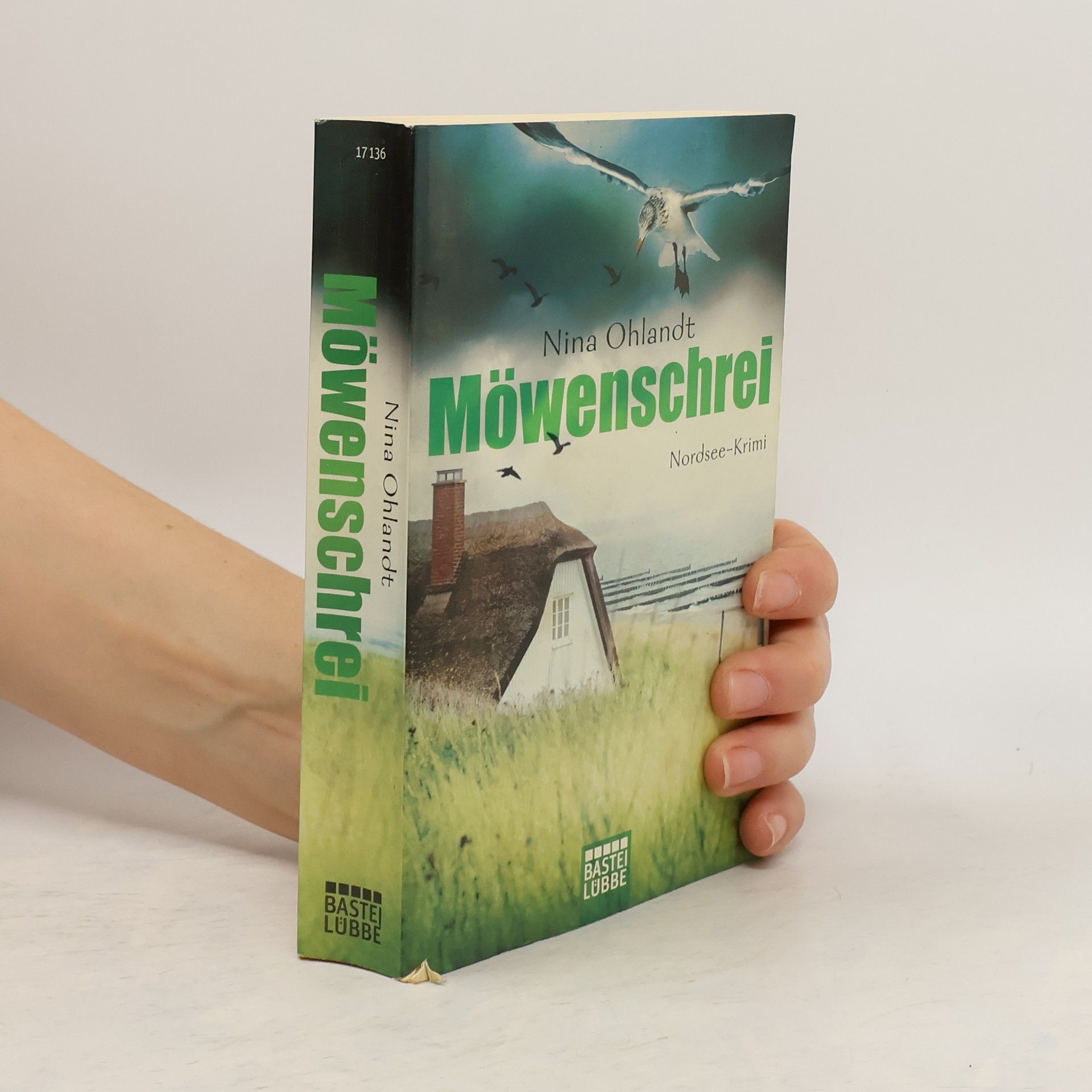Nina Ohlandt Möwenschrei
