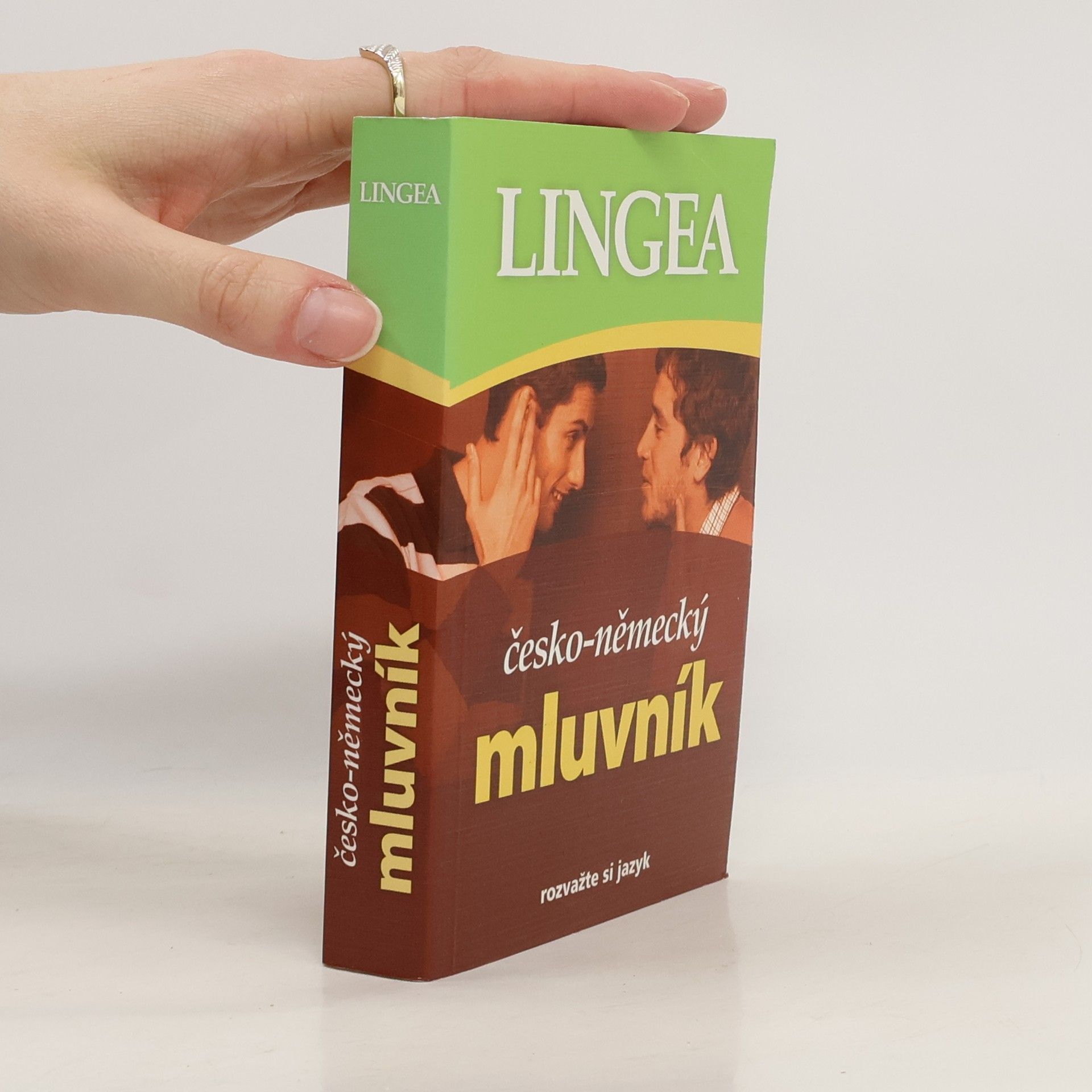 Autorenkollektiv Česko-německý mluvník