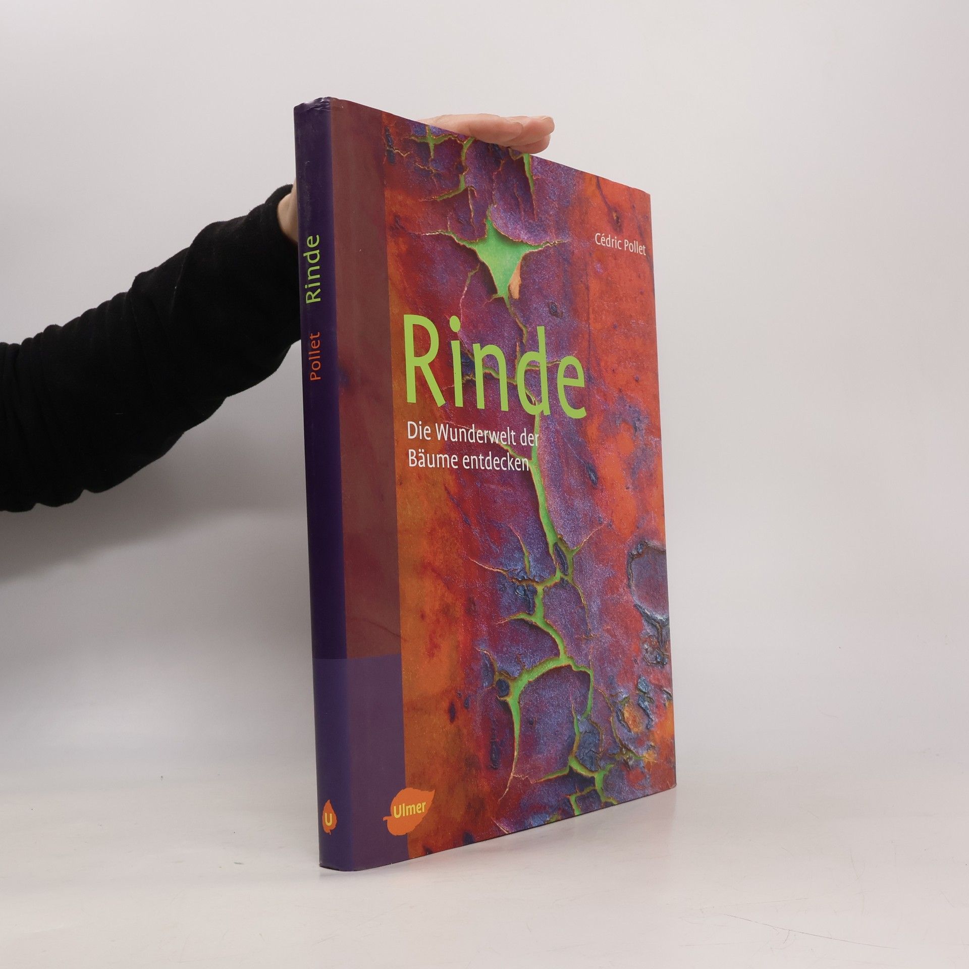 Cédric Pollet Rinde