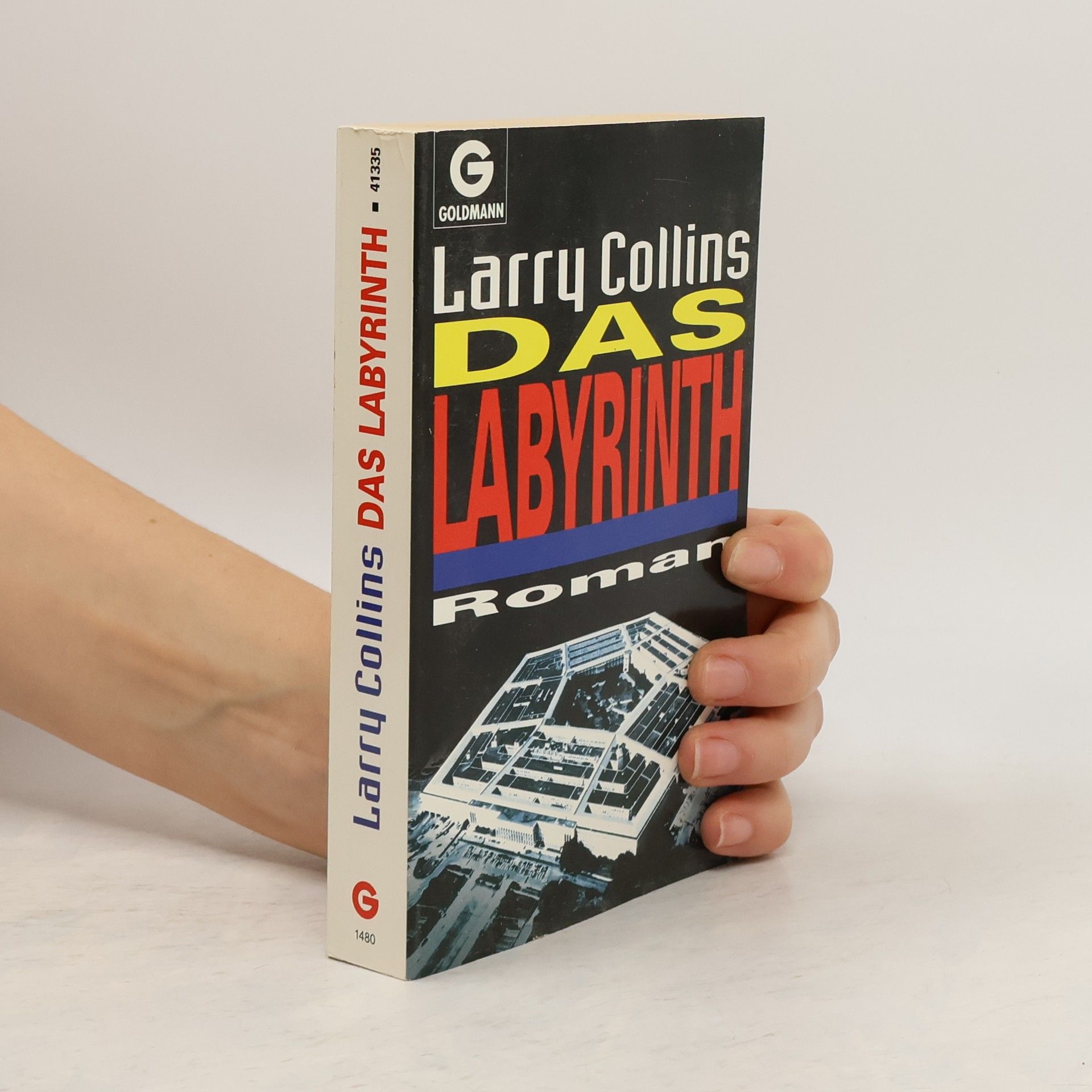 Dominique Lapierre Das Labyrinth