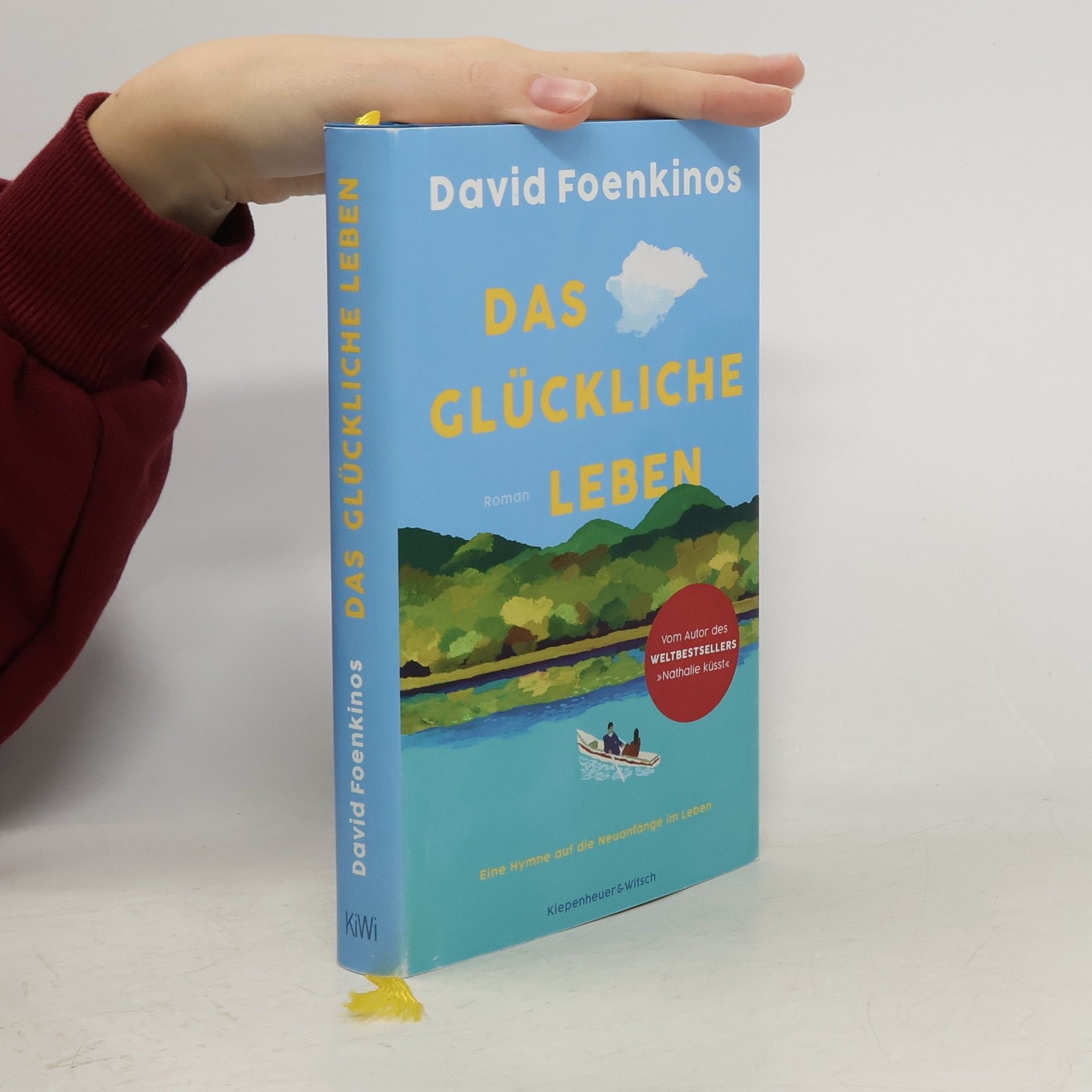 David Foenkinos Das glückliche Leben