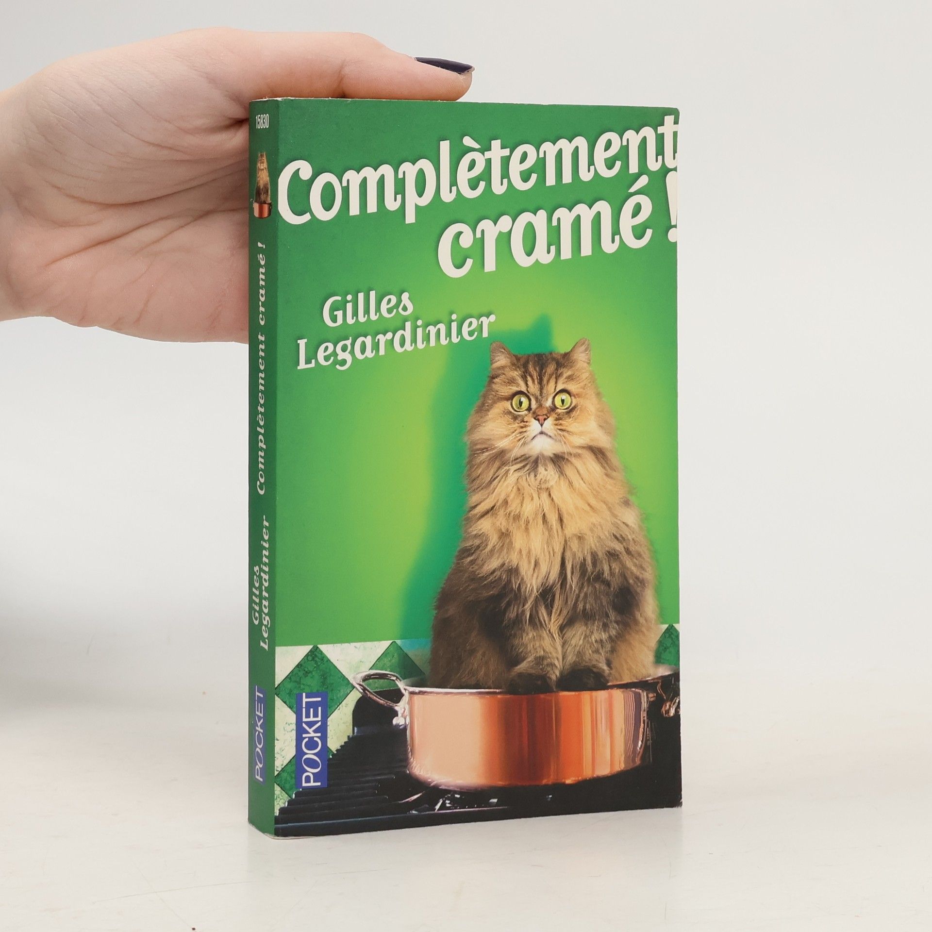 Gilles Legardinier Complètement cramé!