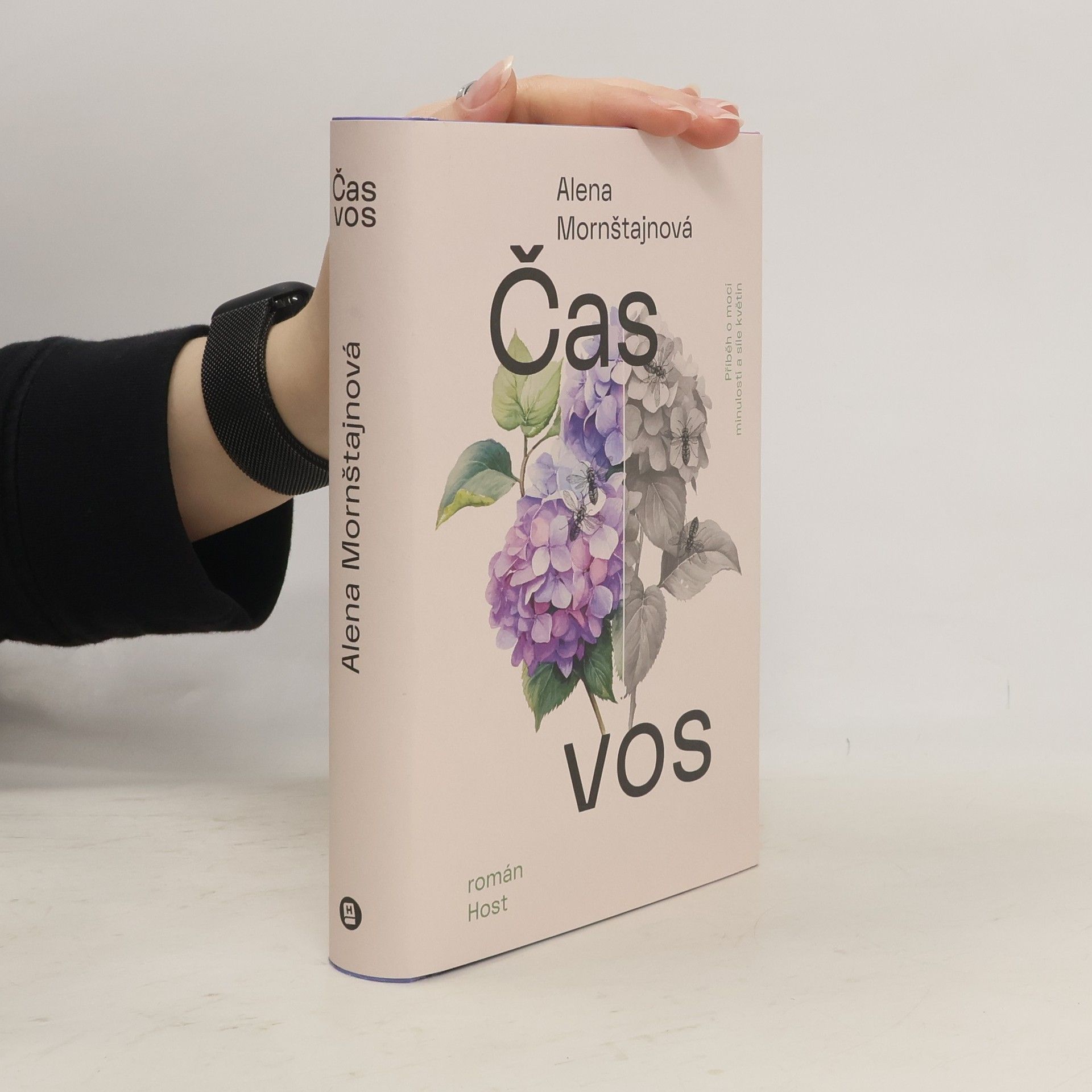 Alena Mornštajnová Čas vos