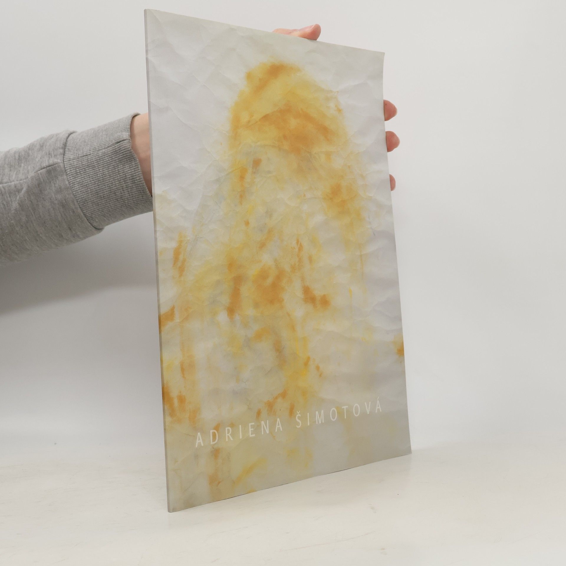 Adriena Šimotová Vyjevování (2008-10)