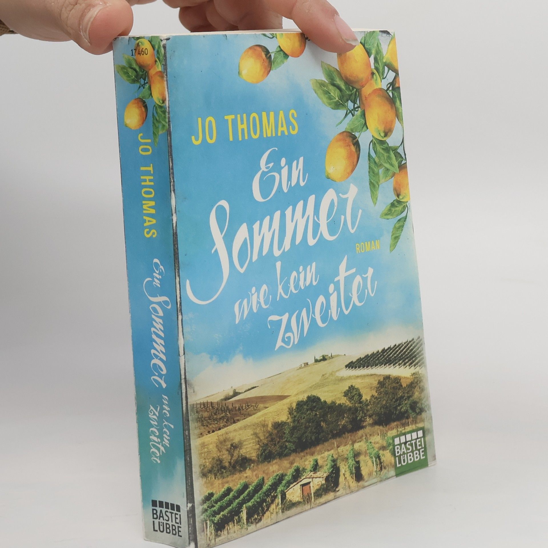 Jo Thomas Ein Sommer wie kein zweiter