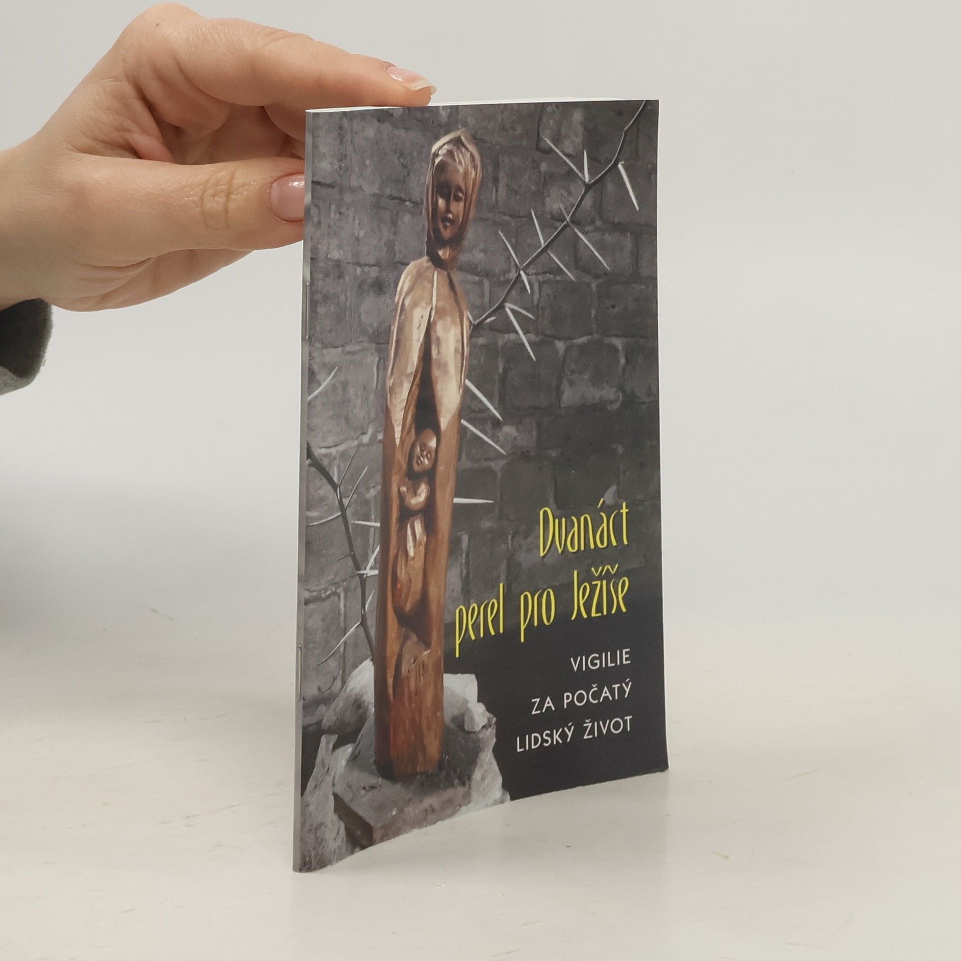 Markéta Tomečková Dvanáct perel pro Ježíše - Vigilie za počatý lidský život